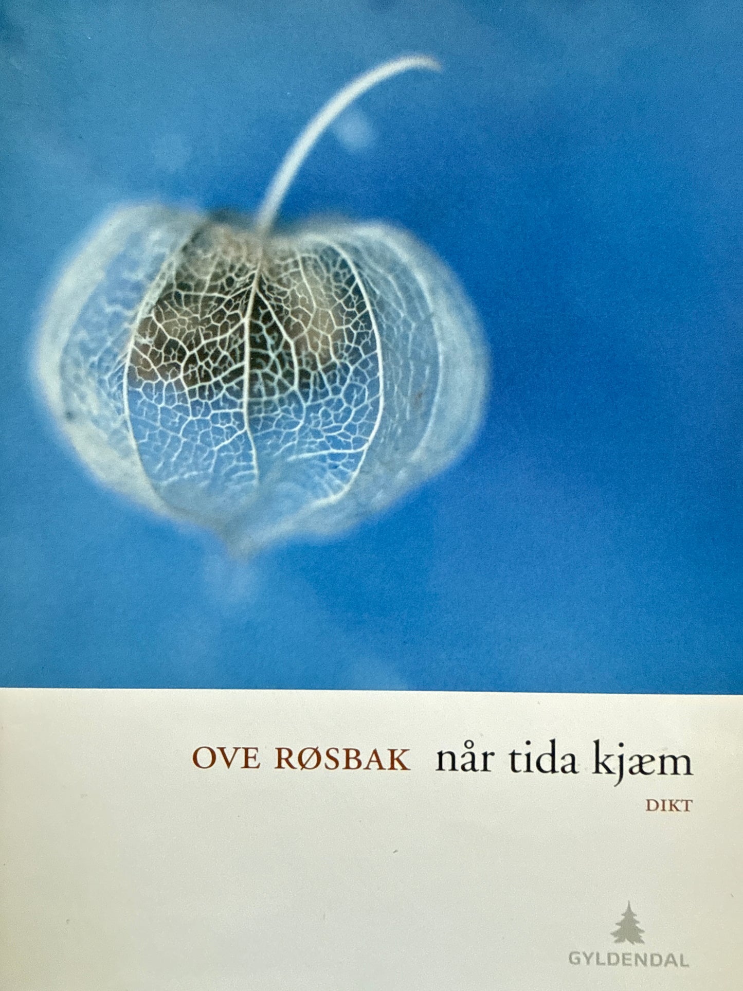 Når tida kjæm - Innbundet