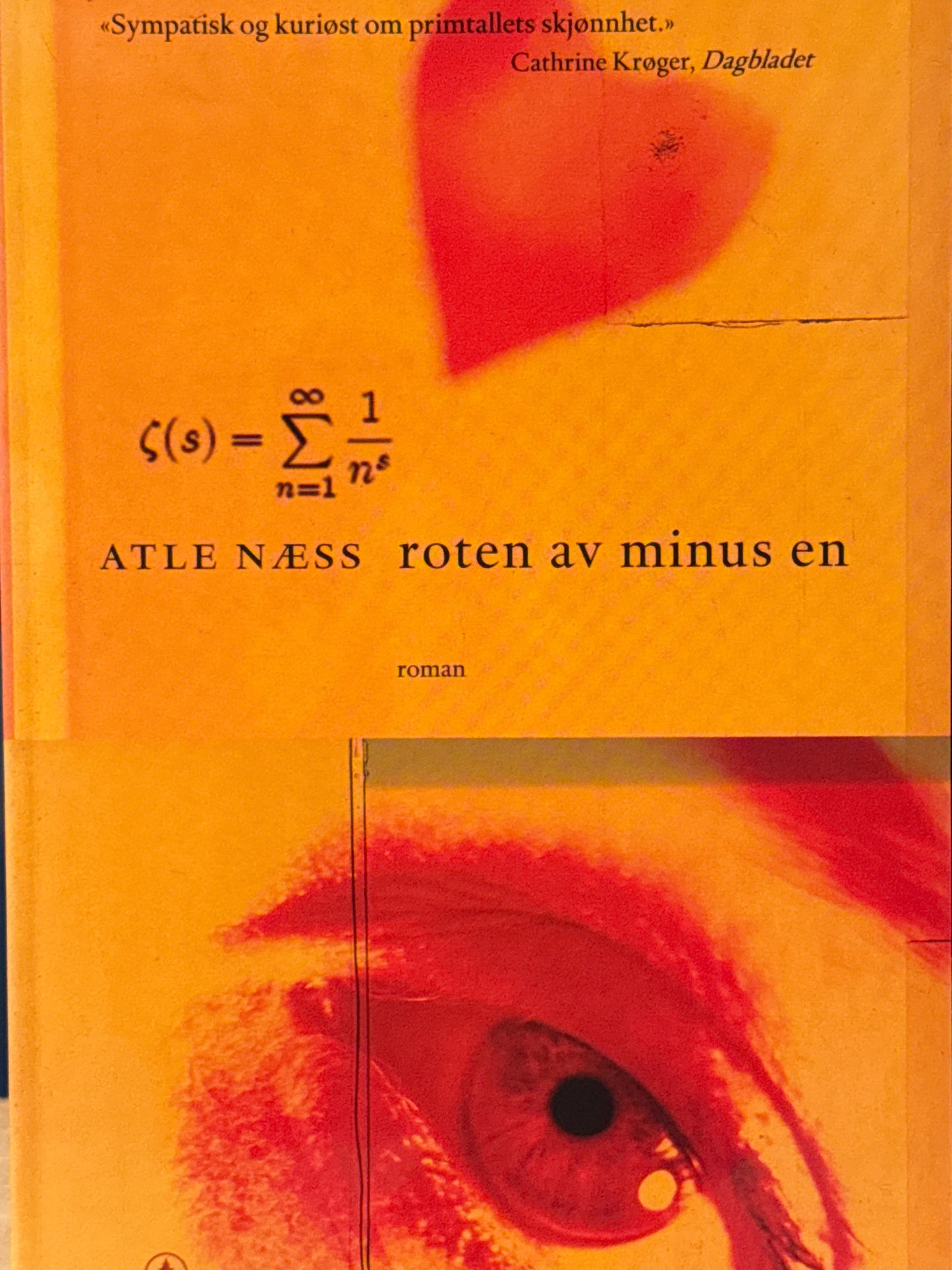 Roten av minus en - Pocket