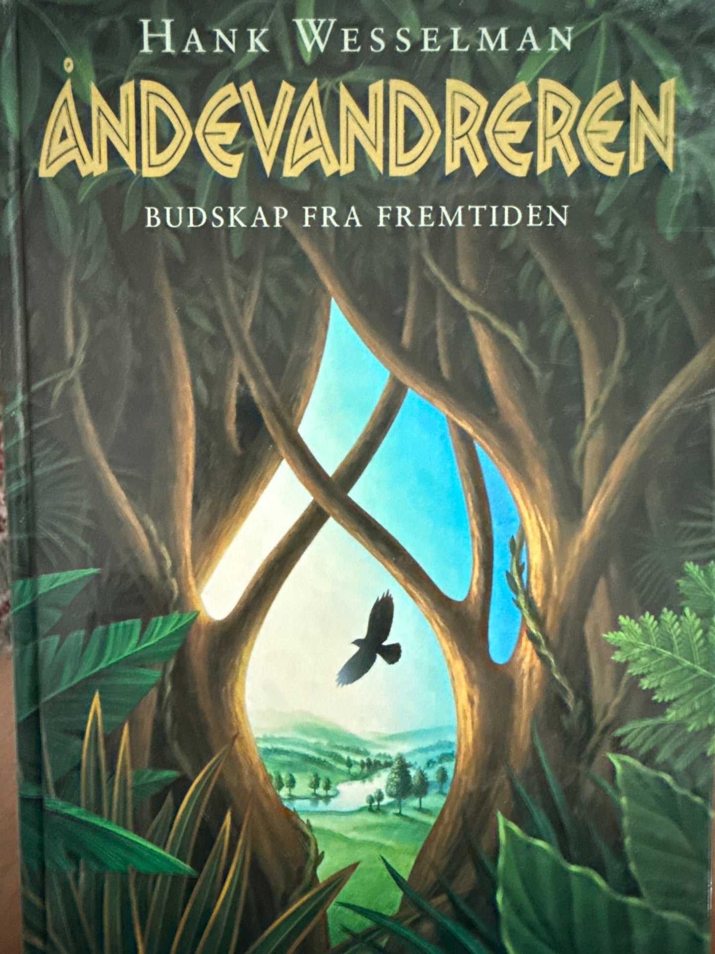 Åndevandreren - Innbundet