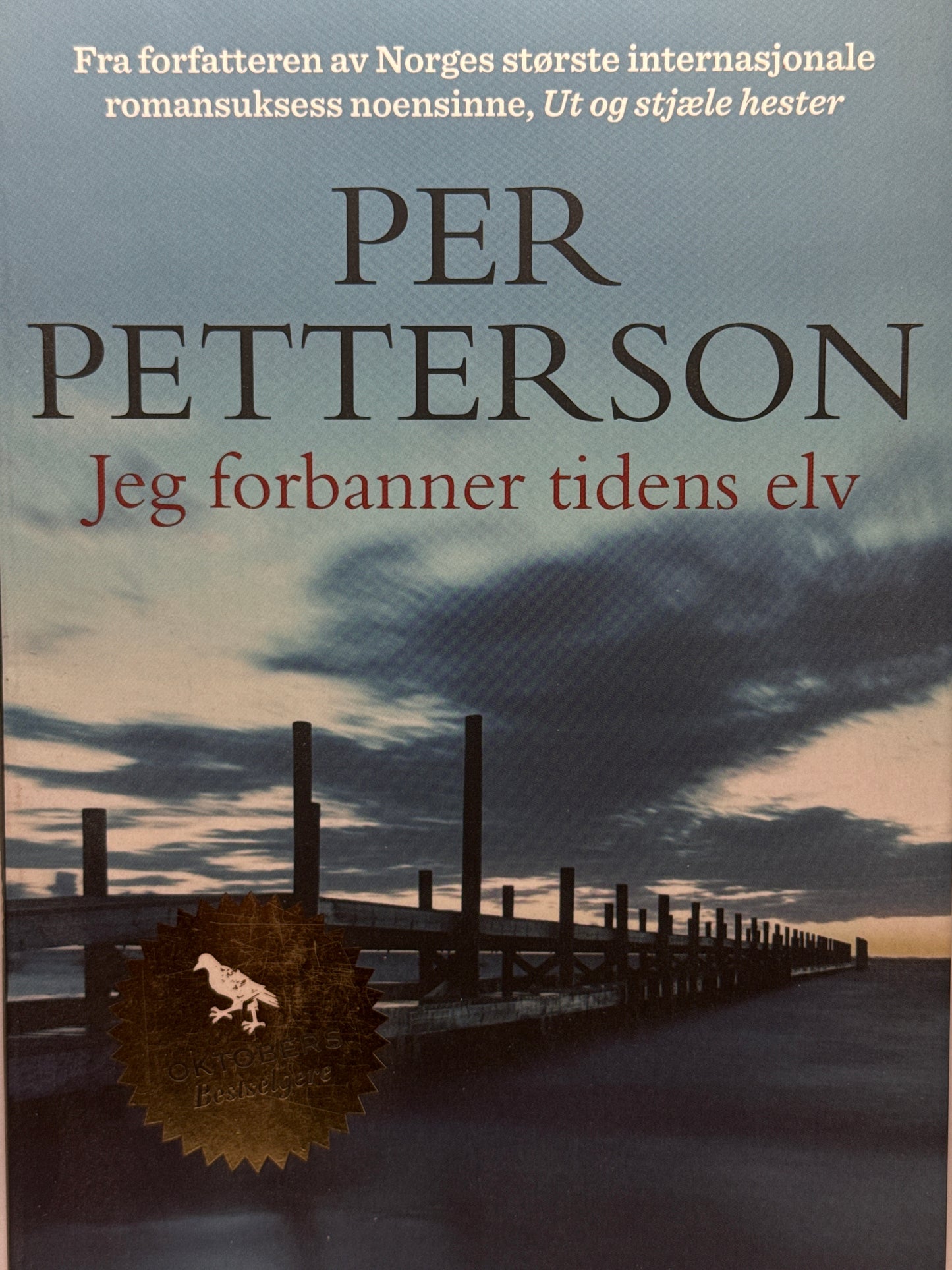 Jeg forbanner tidens elv - Pocket