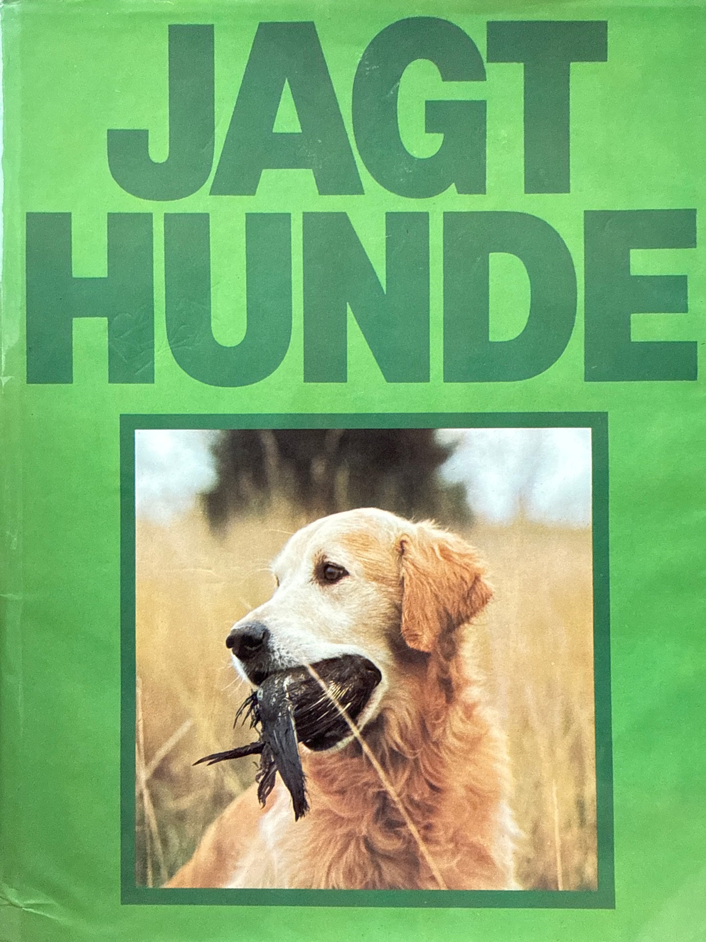 Jagthunde - Innbundet
