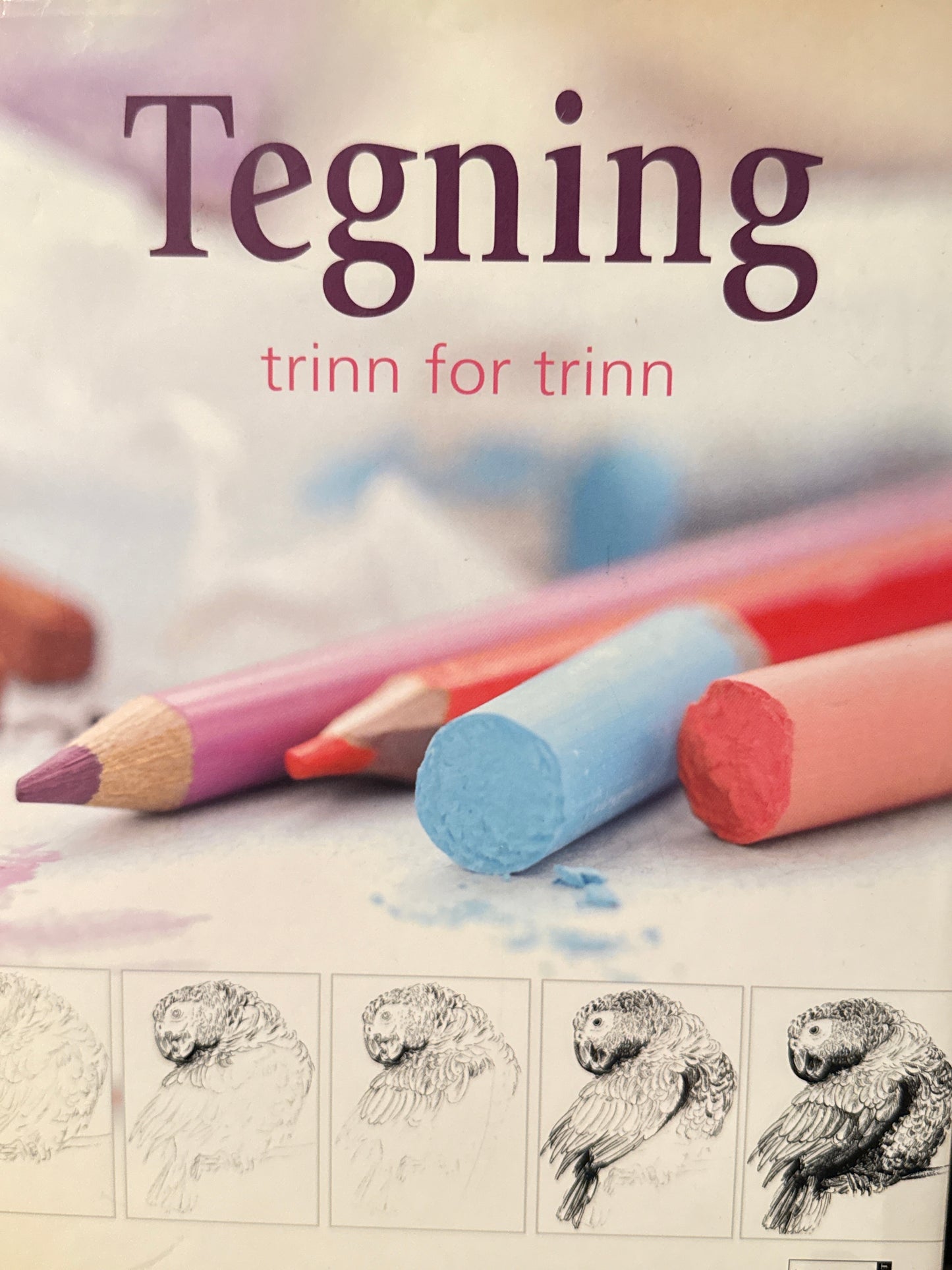 Tegning trinn for trinn - Innbundet