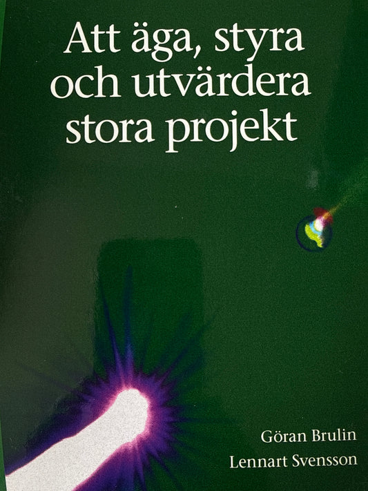 Att äga, styra och utvärdera stora projekt - Pocket