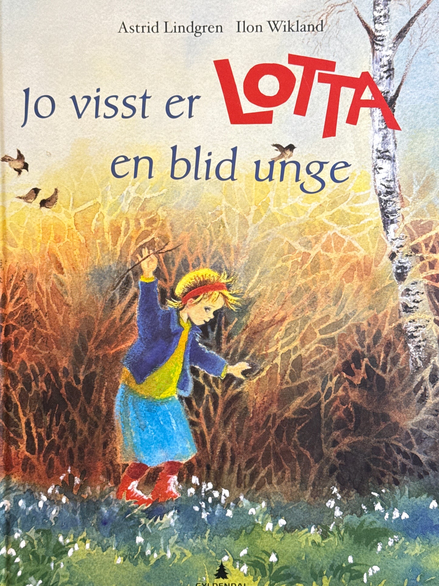 Jo visst er Lotta en blid unge - Innbundet