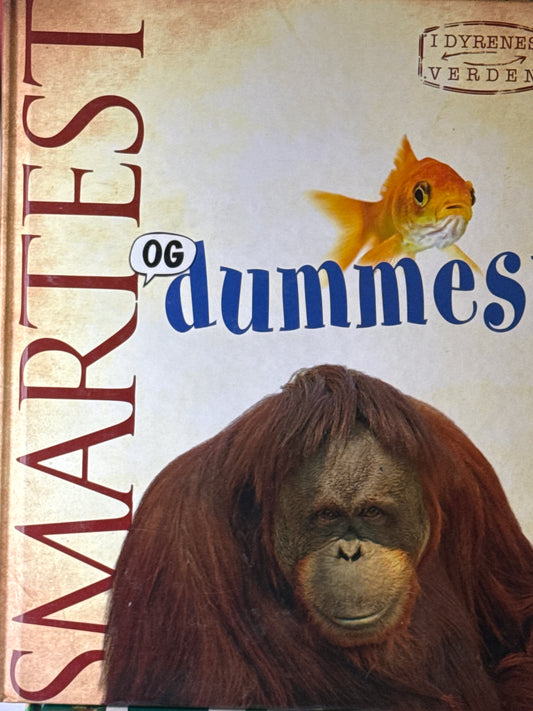 Smartest og dummest - Innbundet