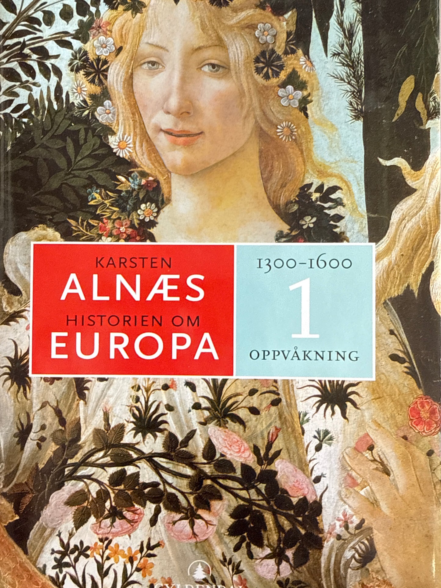 Historien om Europa - Innbundet