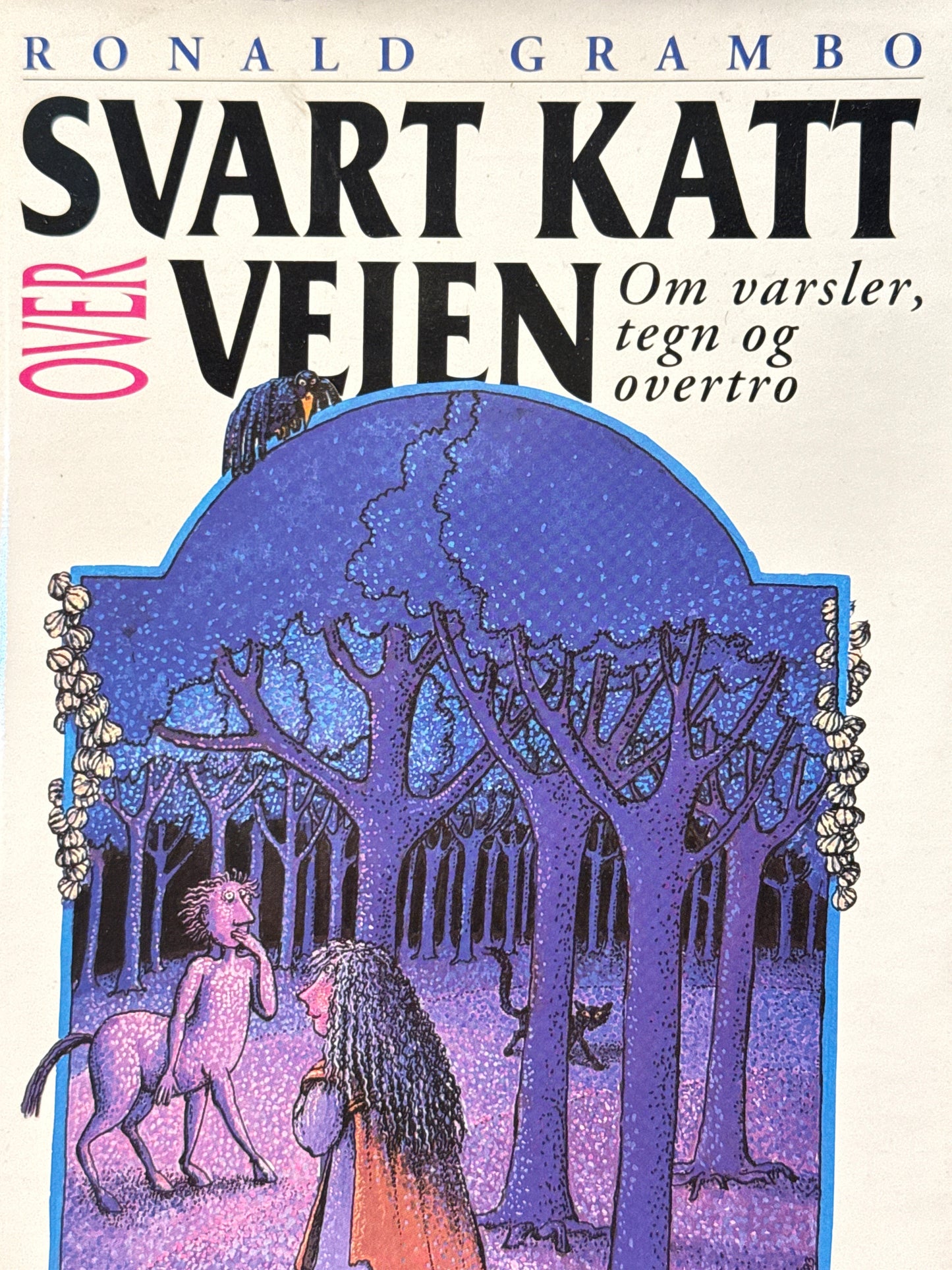 Svart katt over veien - Innbundet