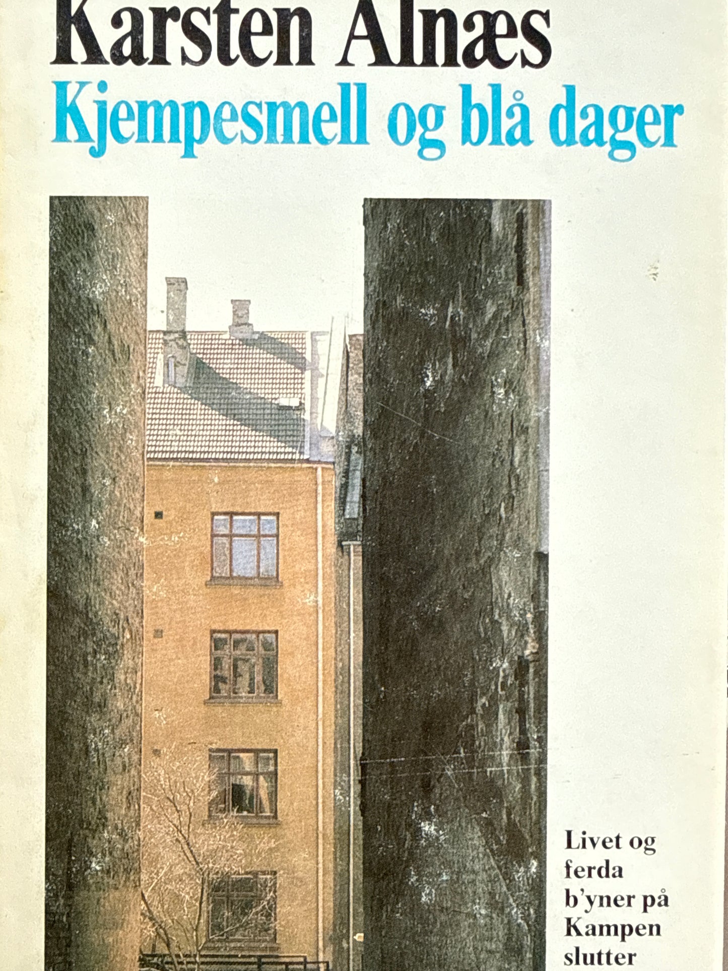 Kjempesmell og blå dager - Innbundet