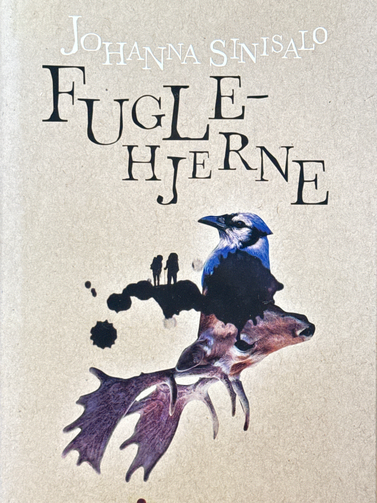 Fuglehjerne - Innbundet