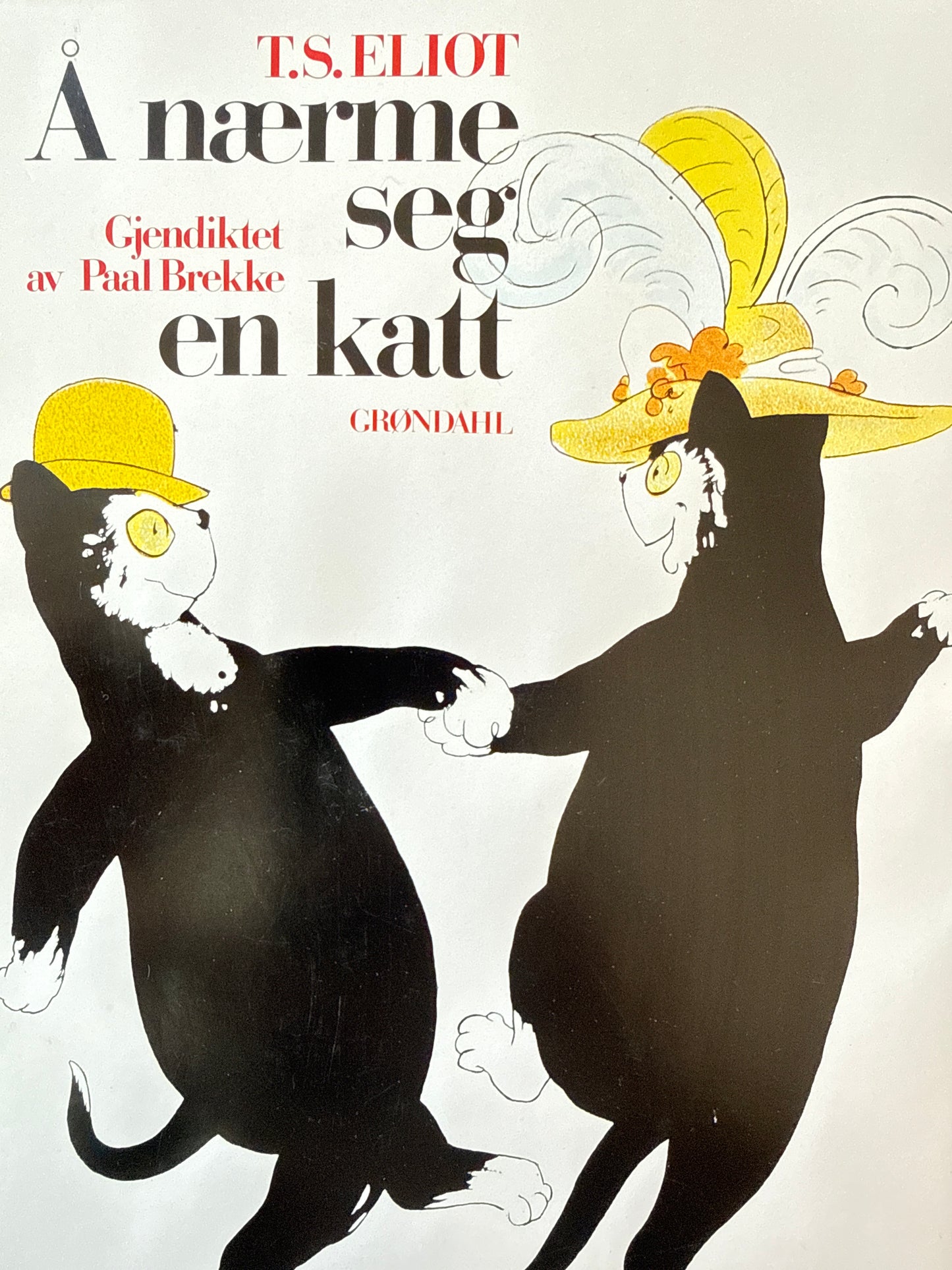 Å naerme seg en katt - Innbundet