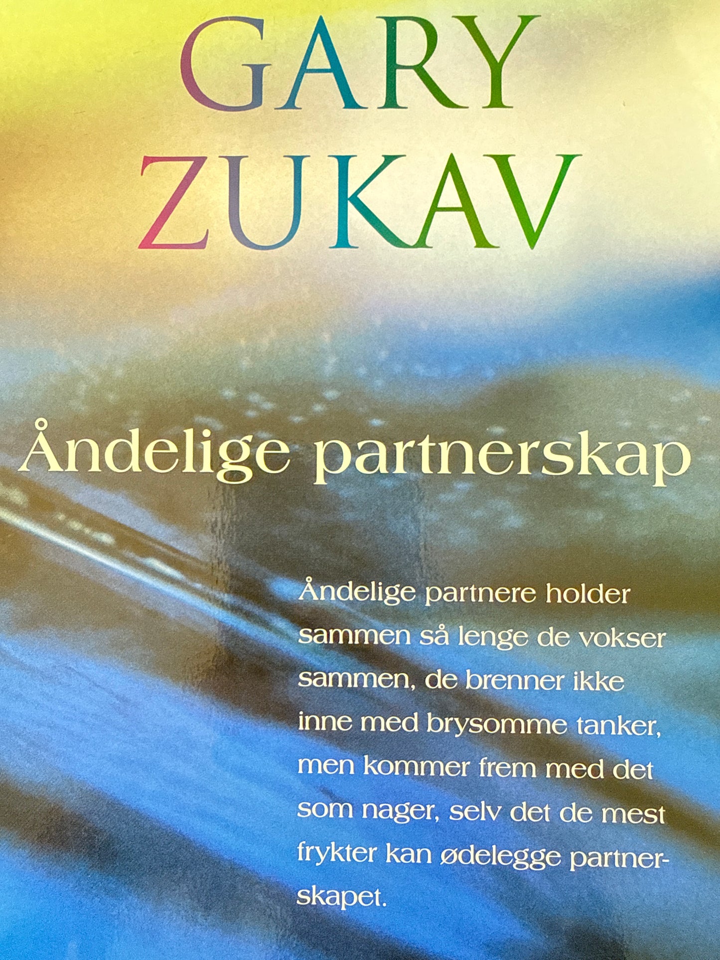 Åndelige partnerskap - Innbundet