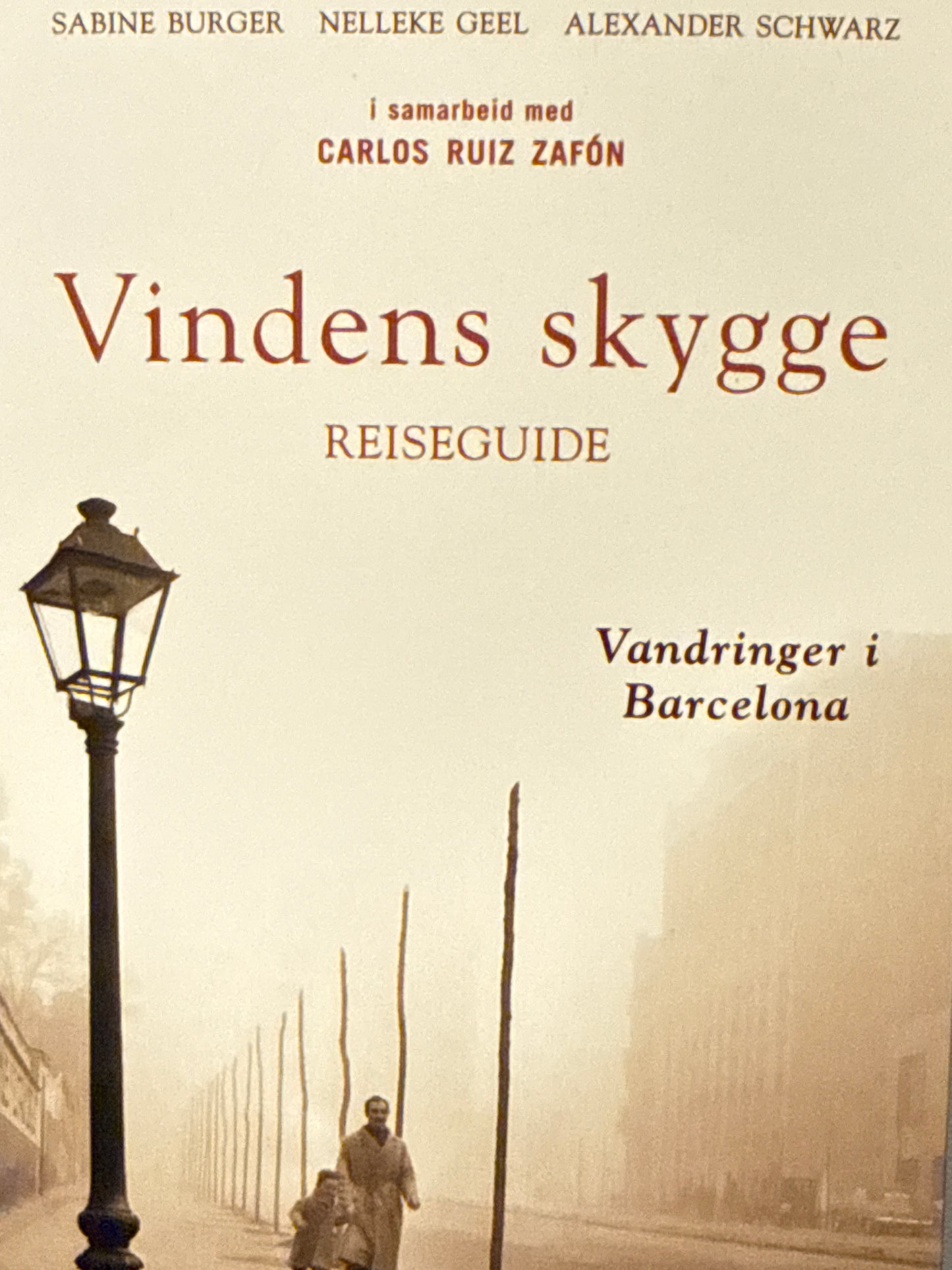 Vindens skygge - Pocket