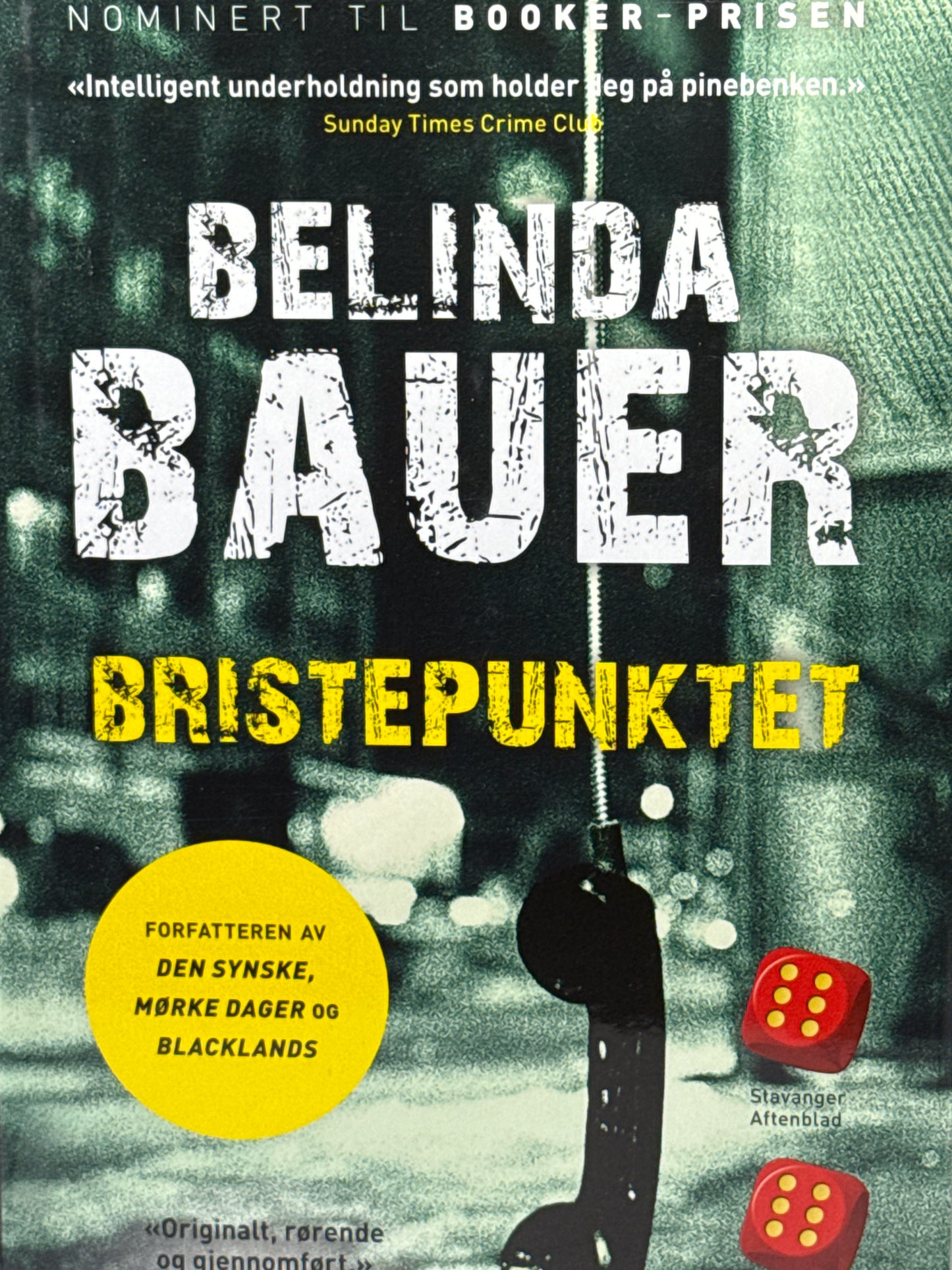 Bristepunktet - Innbundet