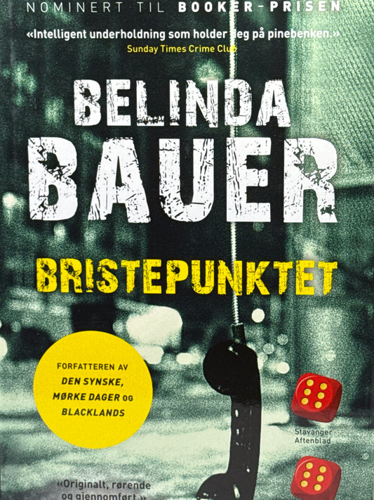 Bristepunktet - Innbundet