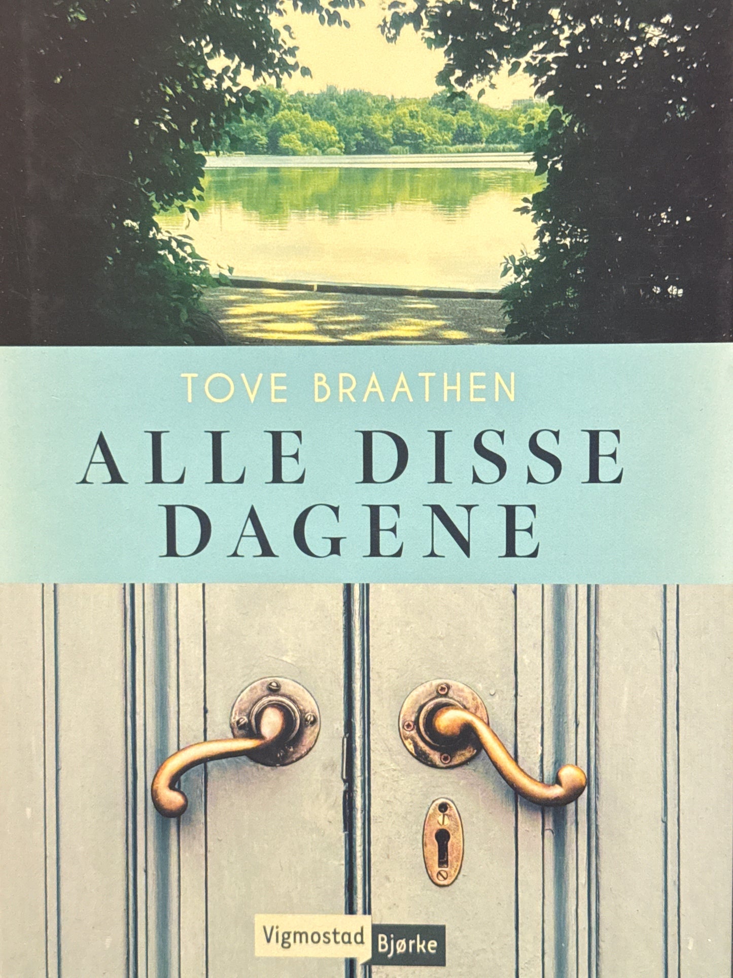 Alle disse dagene - Innbundet