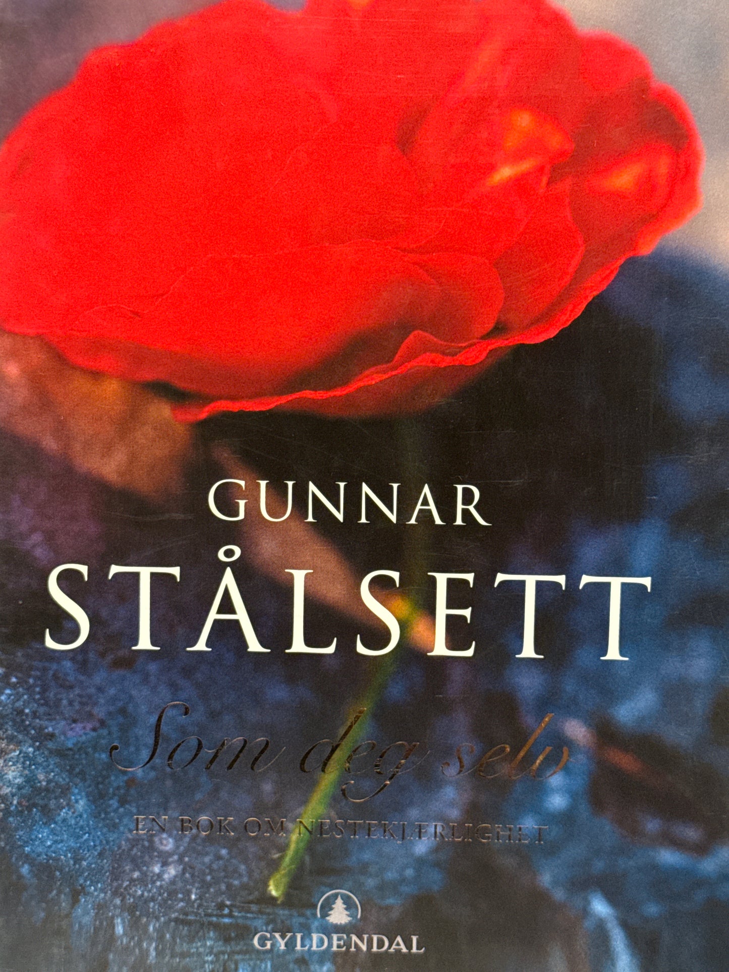 Som deg selv - Innbundet