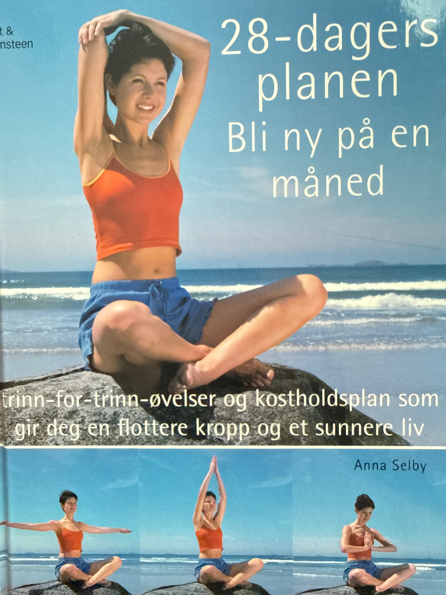 28-dagersplanen - Innbundet