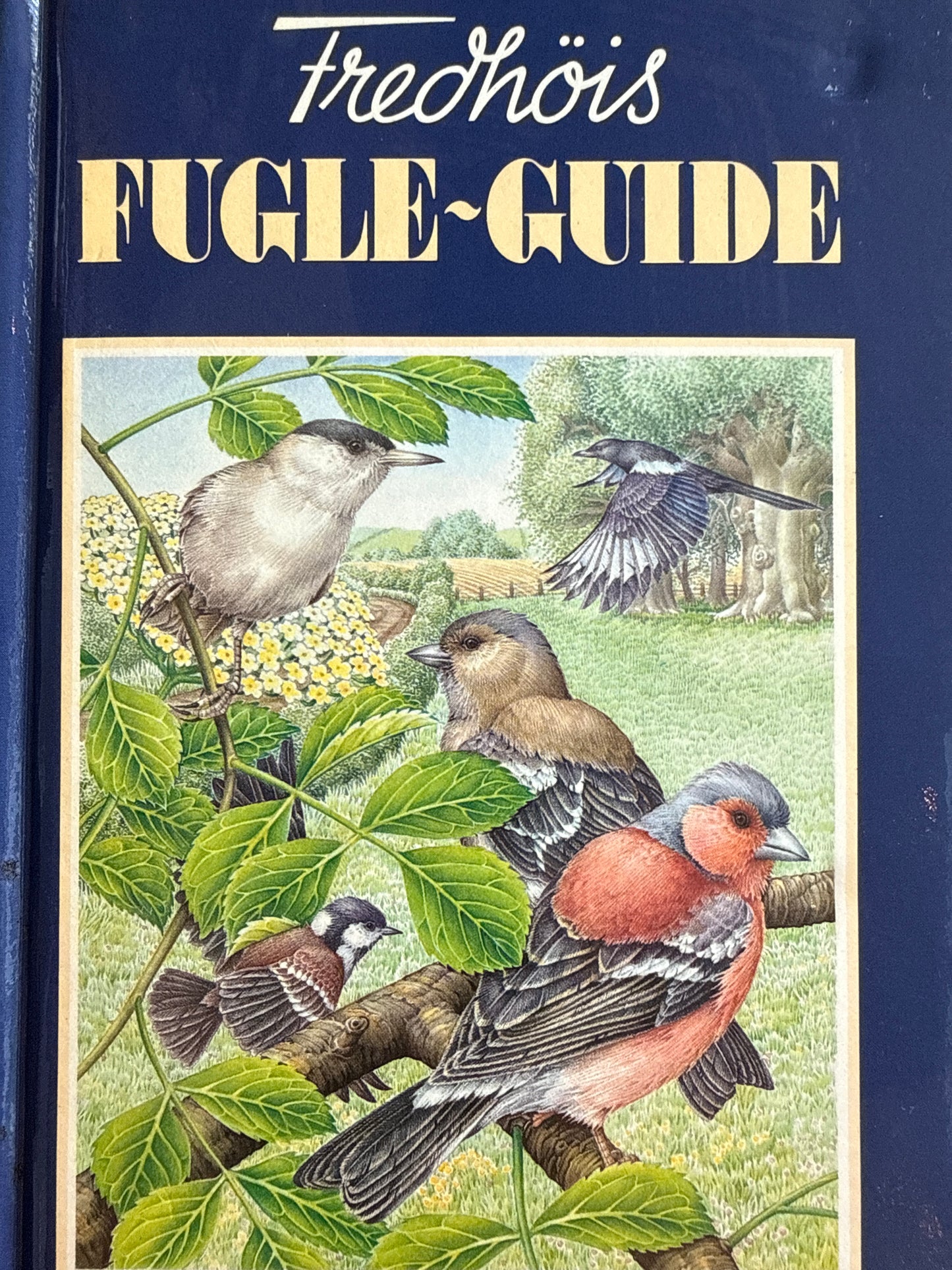 Fredhøis fugle-guide - Innbundet