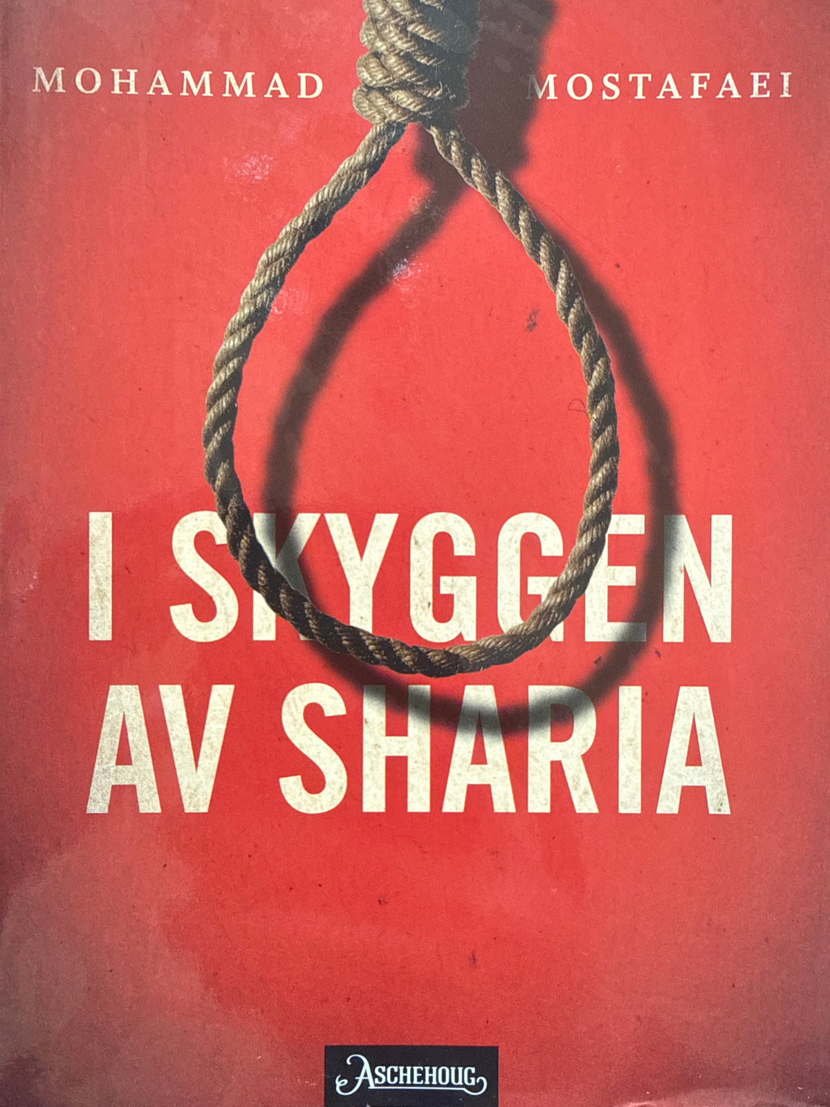 I skyggen av sharia - Innbundet