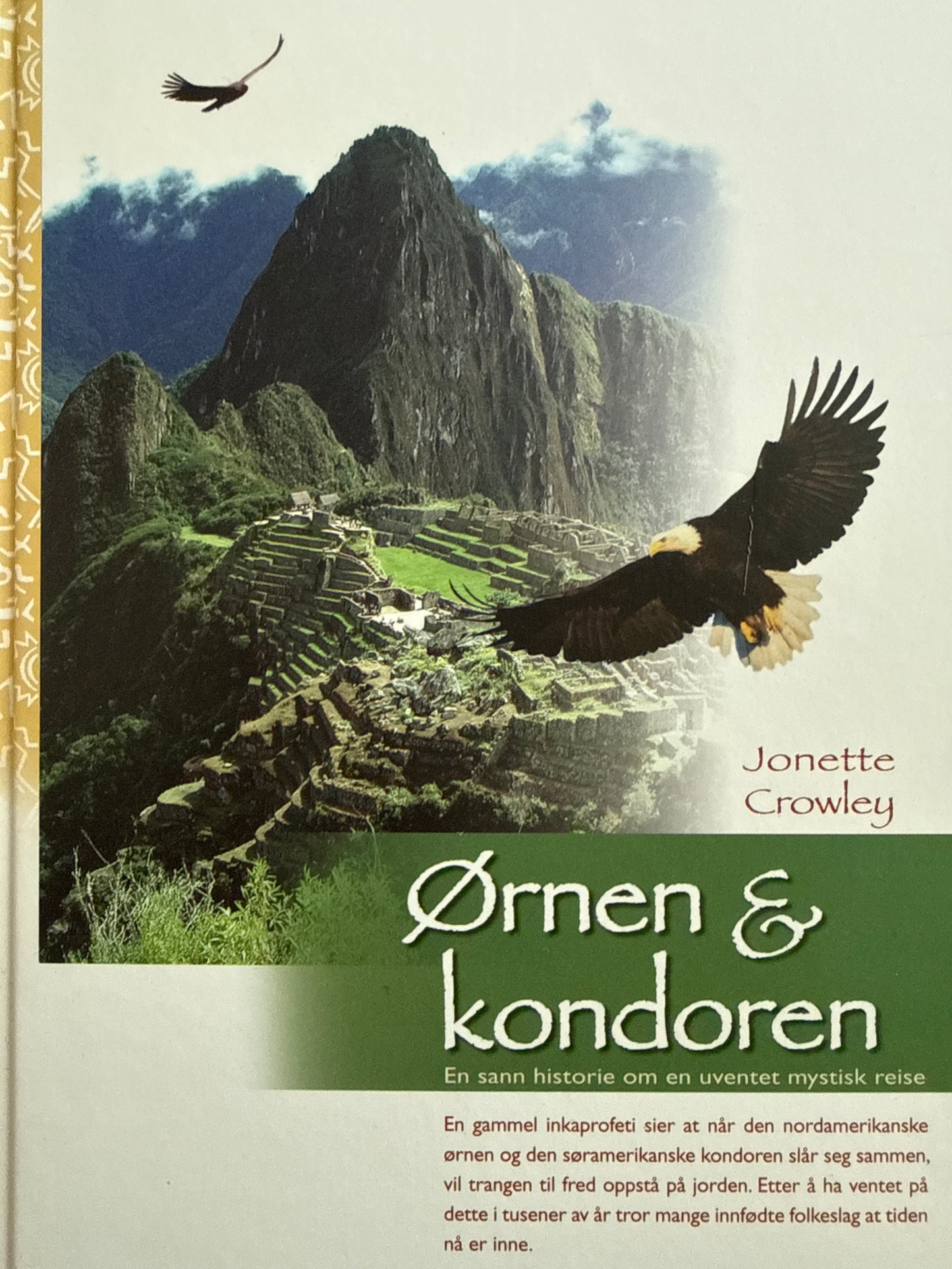 Ørnen og kondoren - Innbundet
