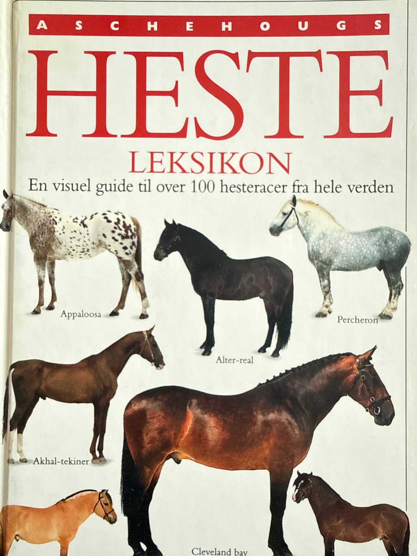 Aschehougs hesteleksikon : en visuel guide til over 100 hesteracer fra hele verden - Innbundet