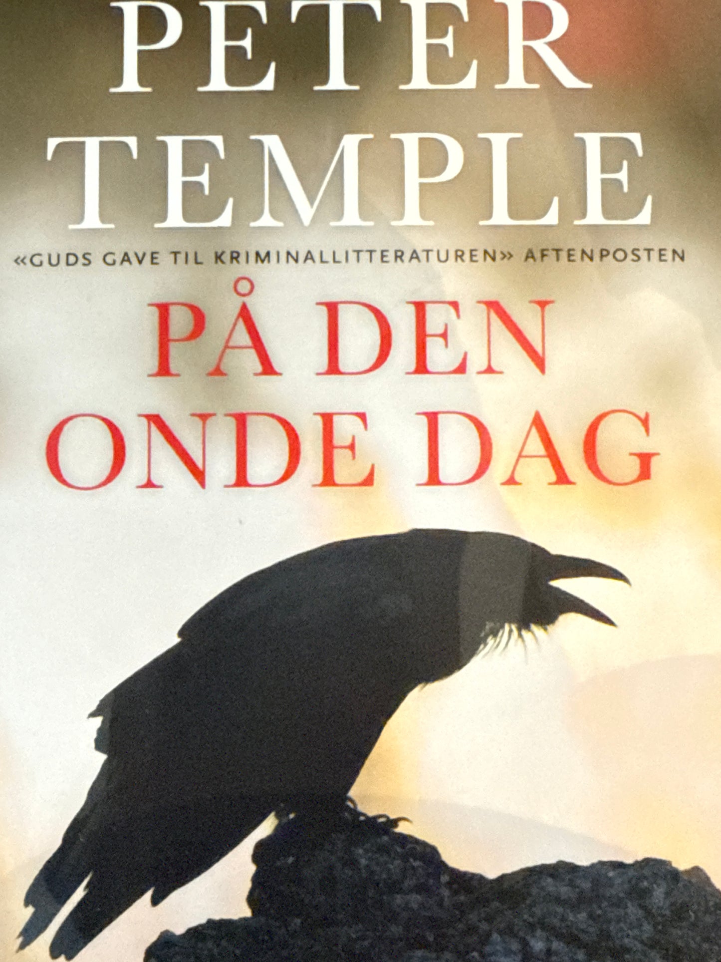 På den onde dag - Pocket