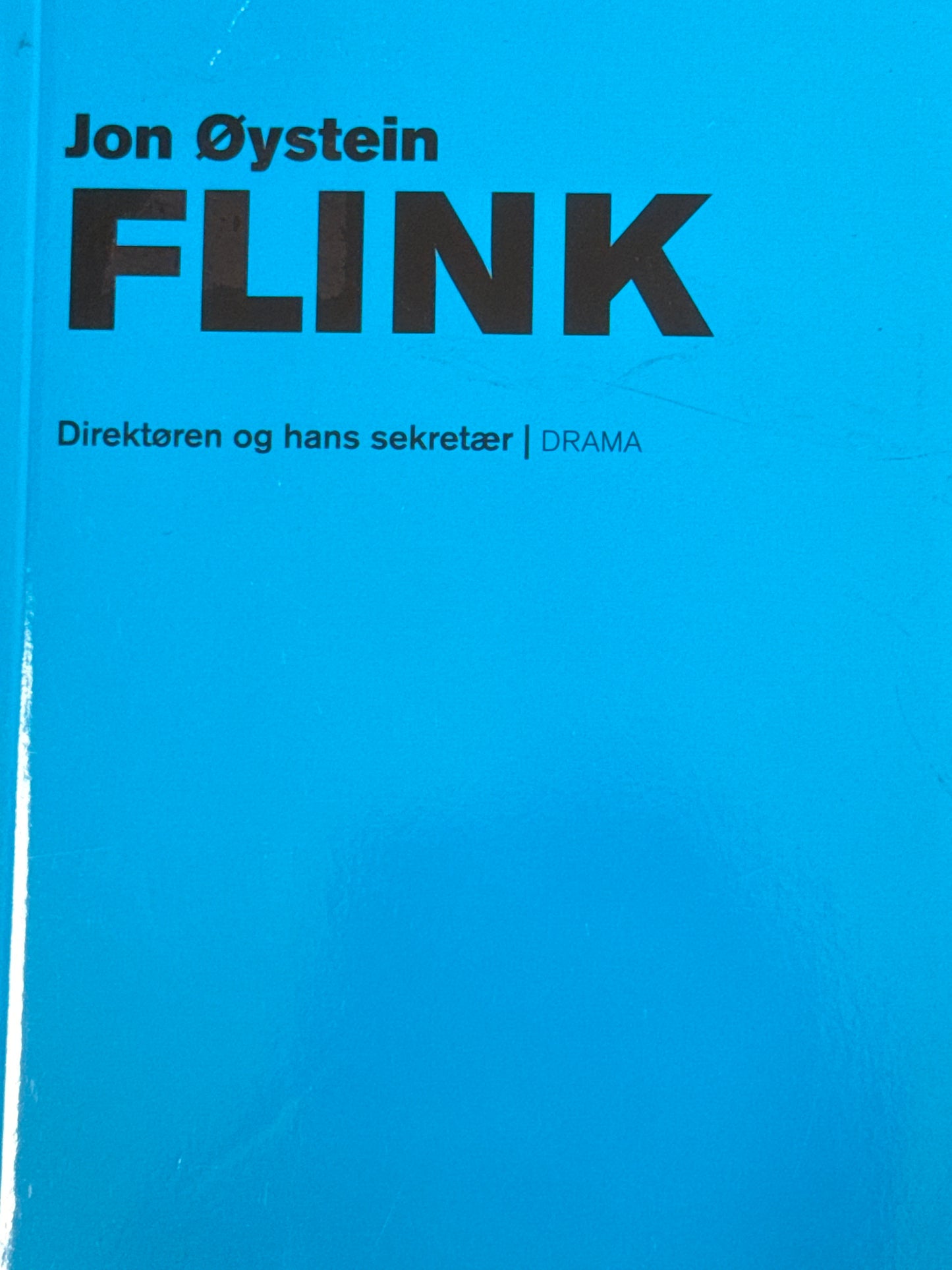 Direktøren og hans sekretær - Pocket