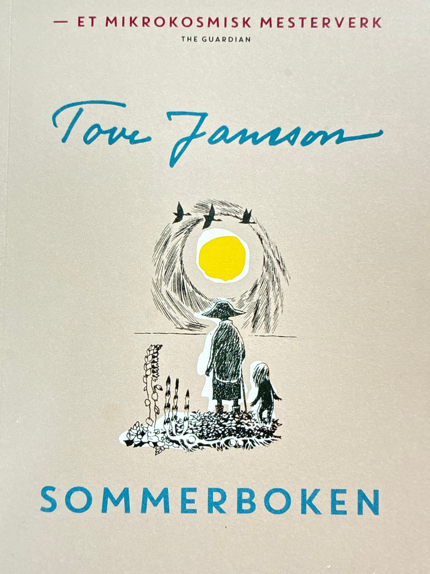 Sommerboken - Pocket