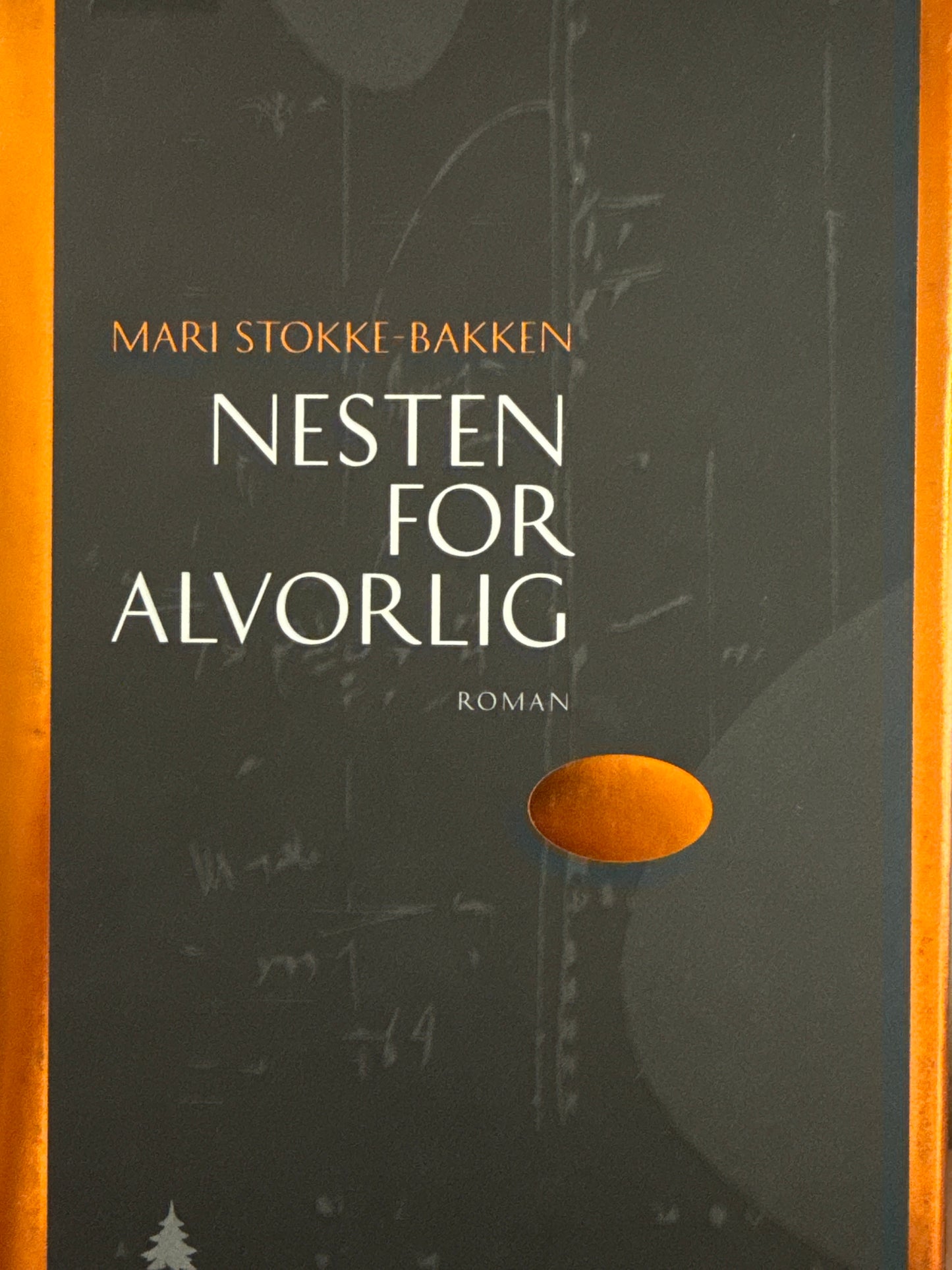 Nesten for alvorlig - Innbundet