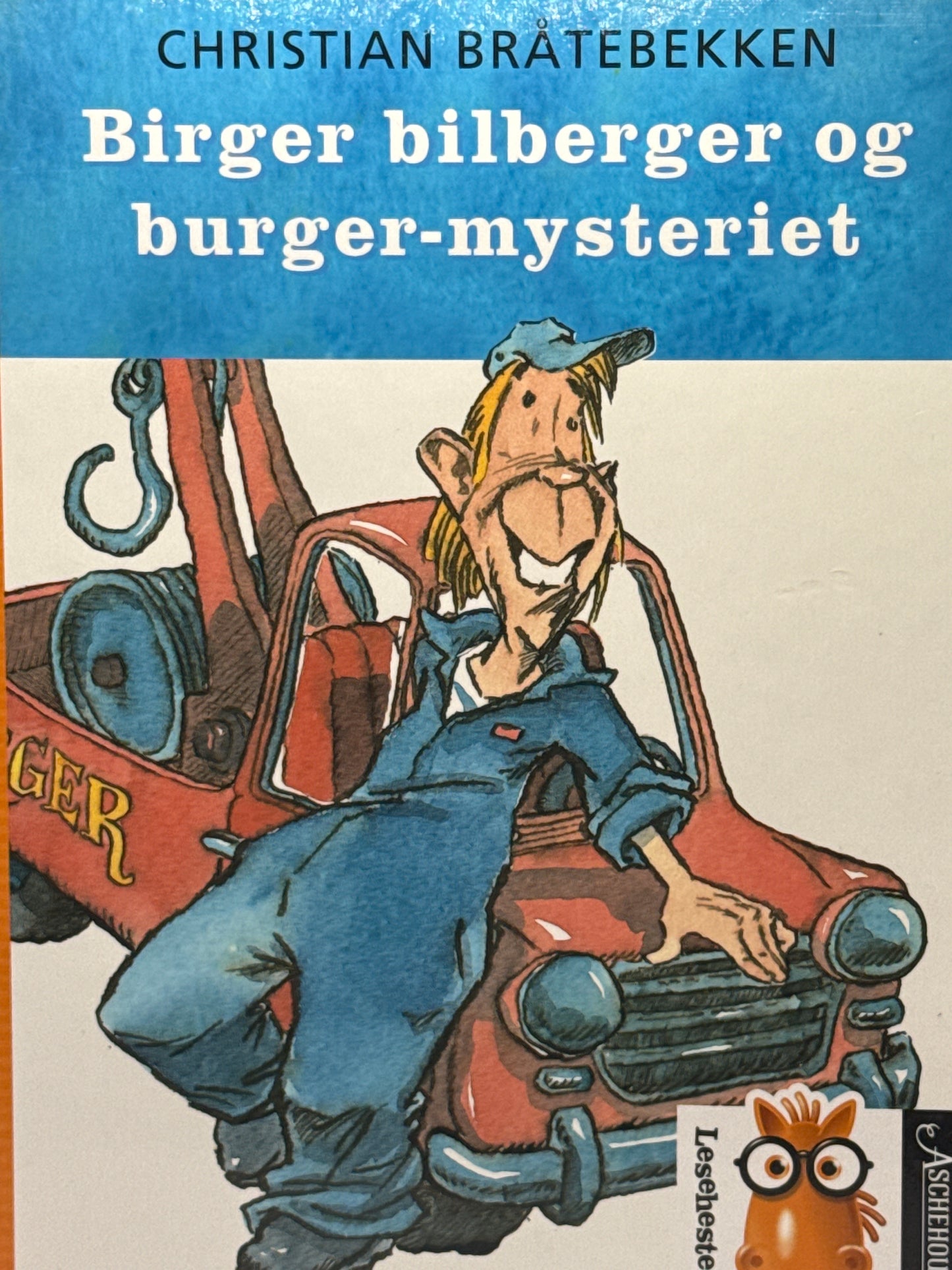 Birger bilberger og burger-mysteriet - Innbundet