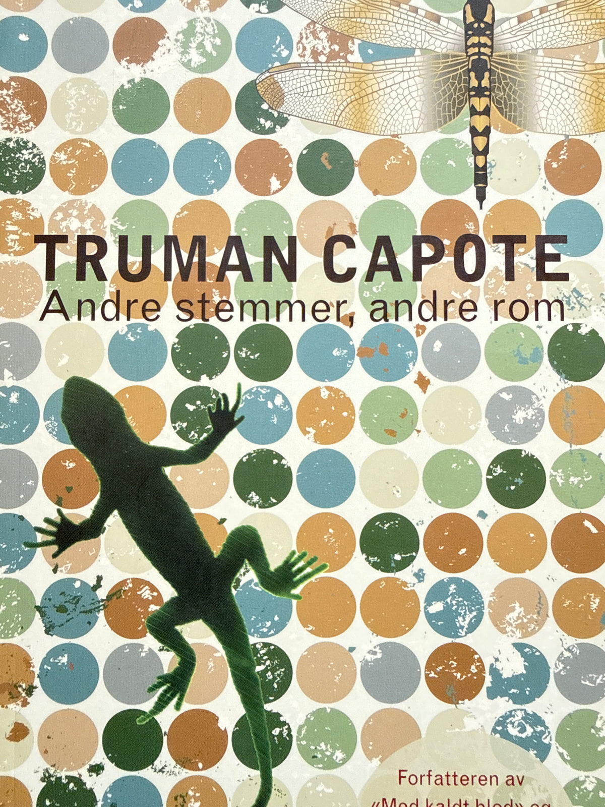 Andre stemmer, andre rom - Pocket