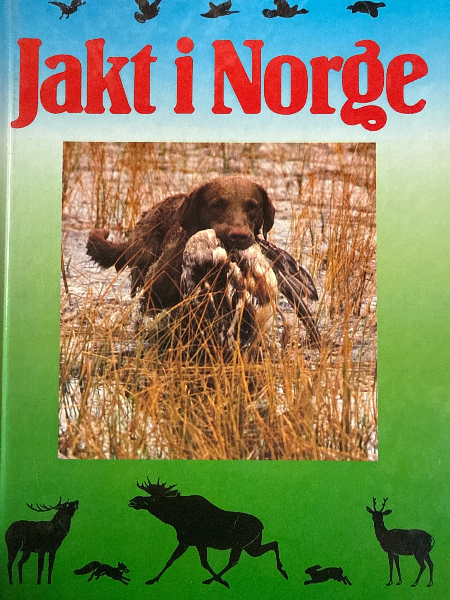 Jakt i Norge - Innbundet