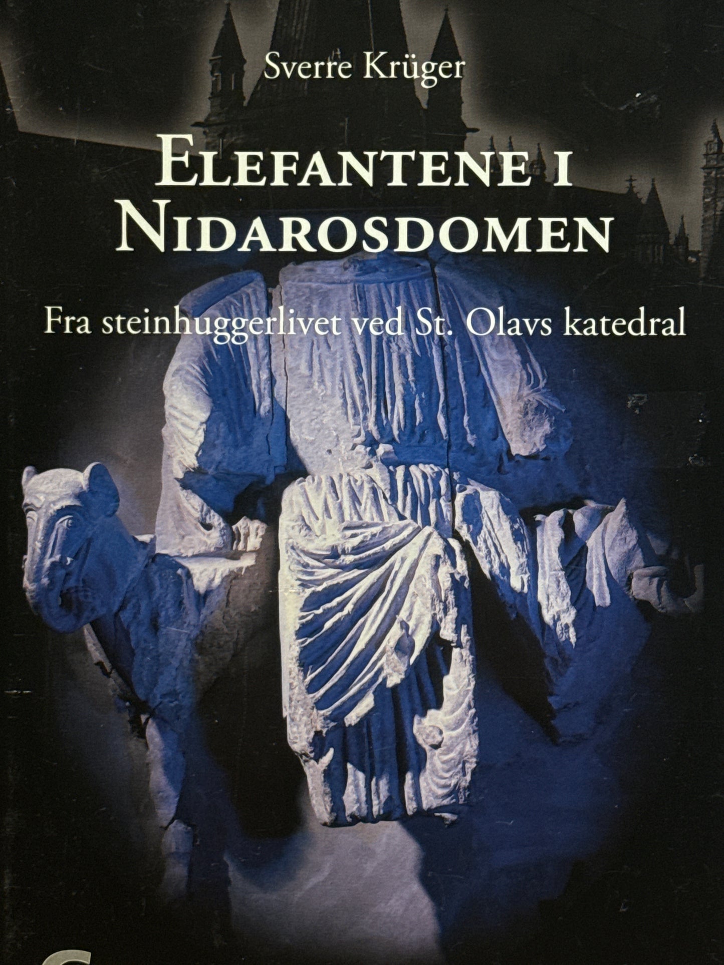 Elefantene i Nidarosdomen - Innbundet