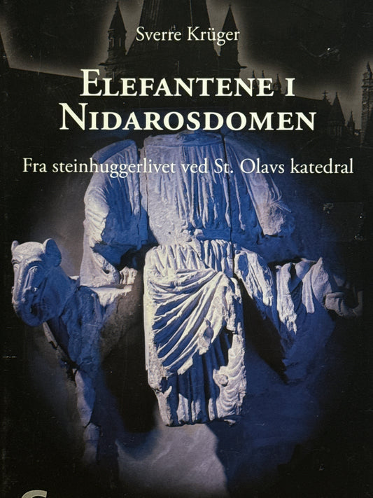 Elefantene i Nidarosdomen - Innbundet