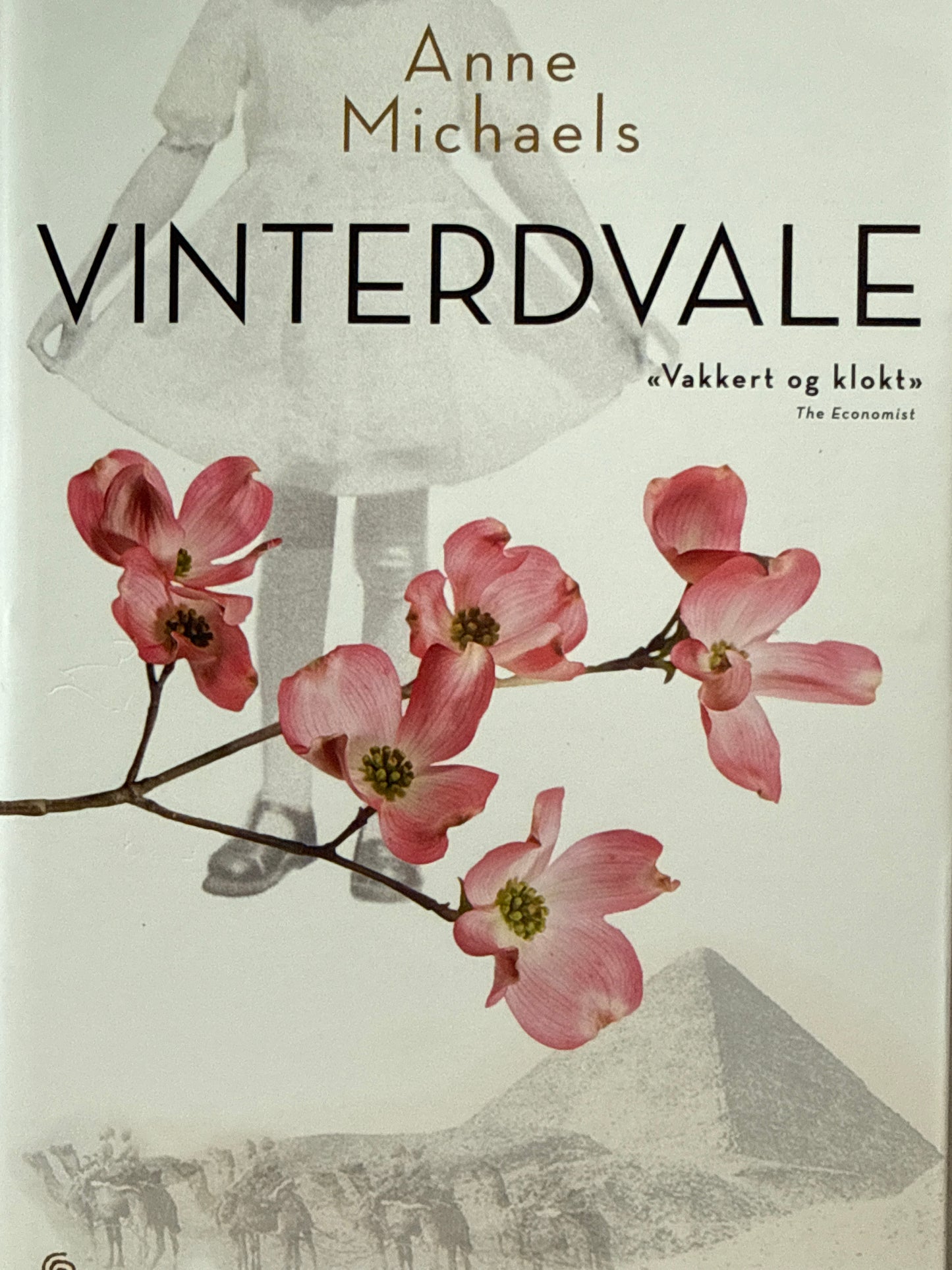 Vinterdvale - Innbundet