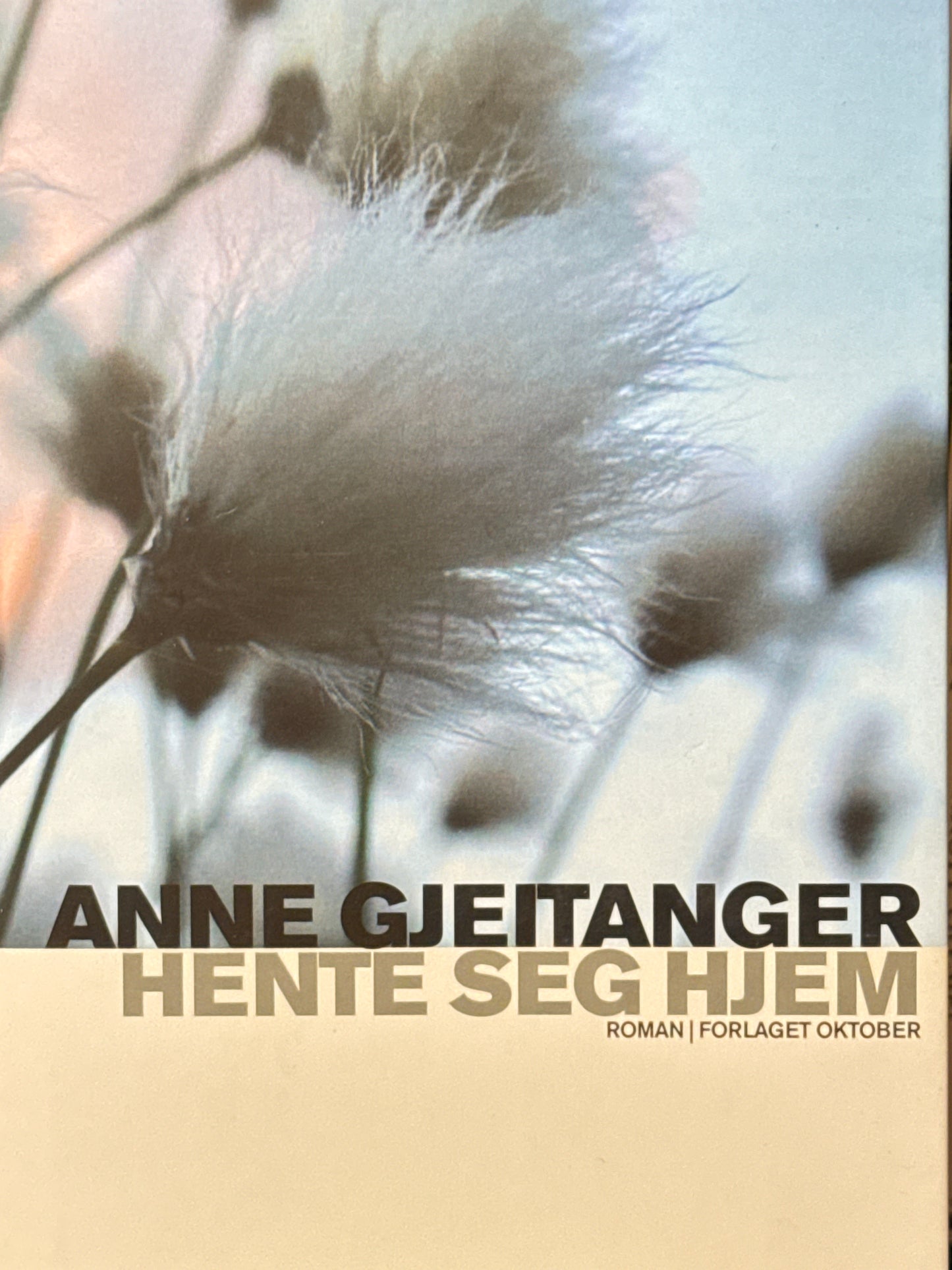 Hente seg hjem - Innbundet