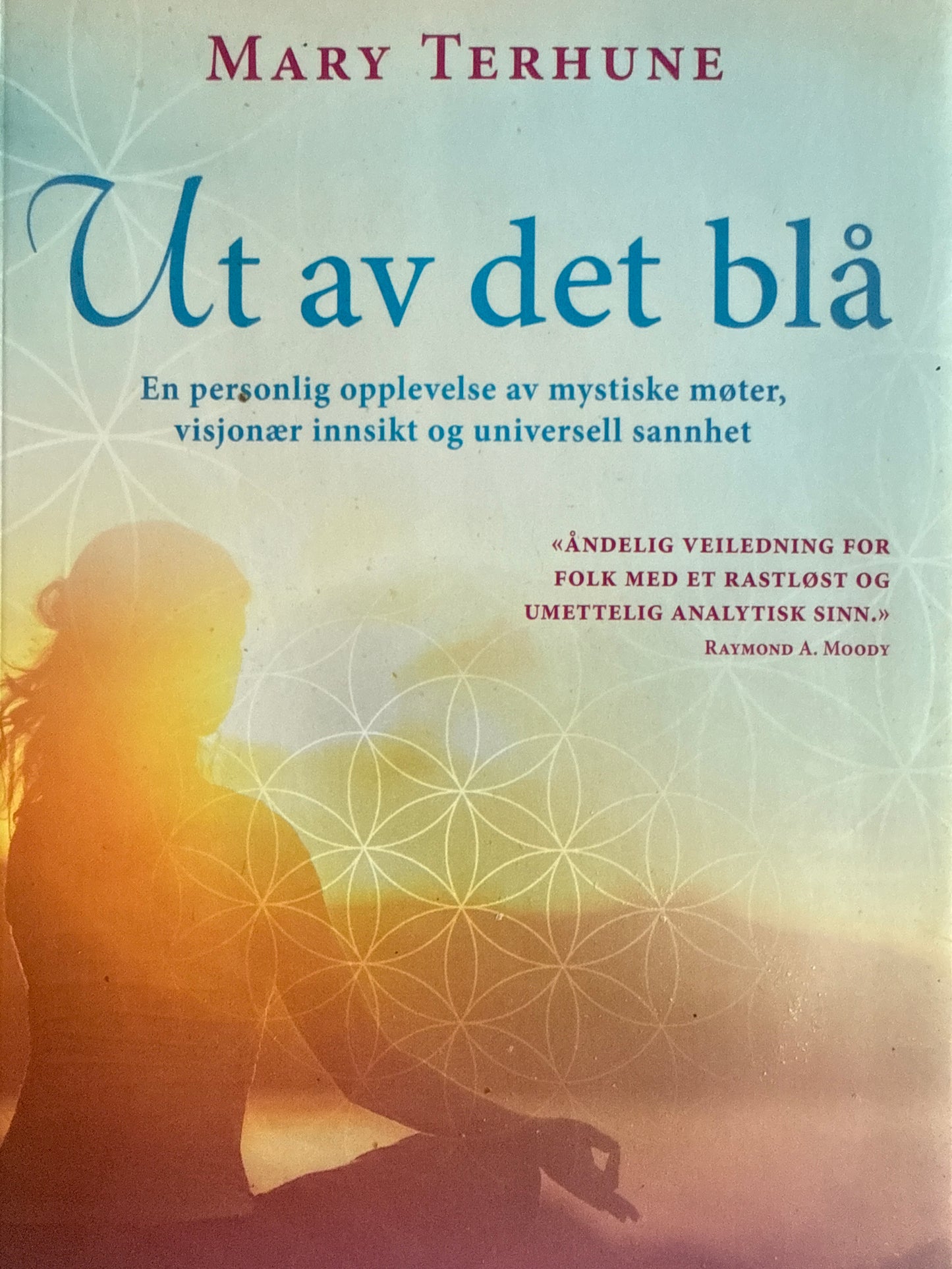 Ut av det blå - Pocket