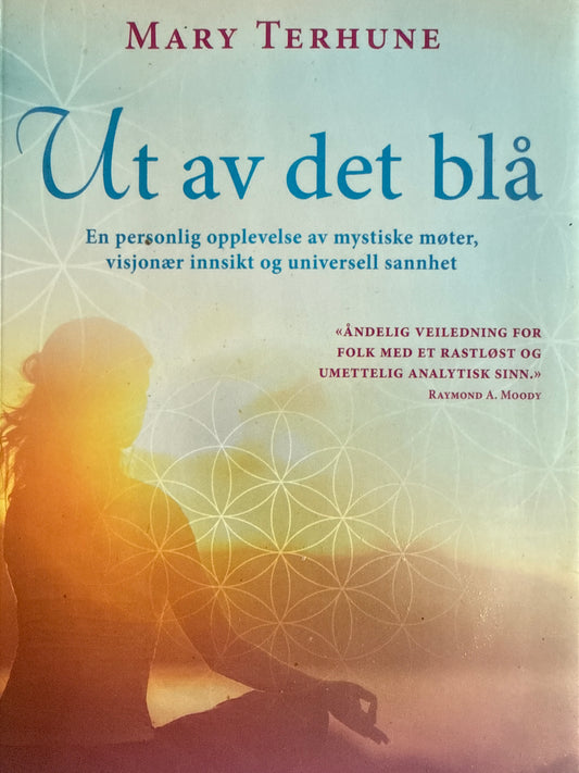 Ut av det blå - Pocket