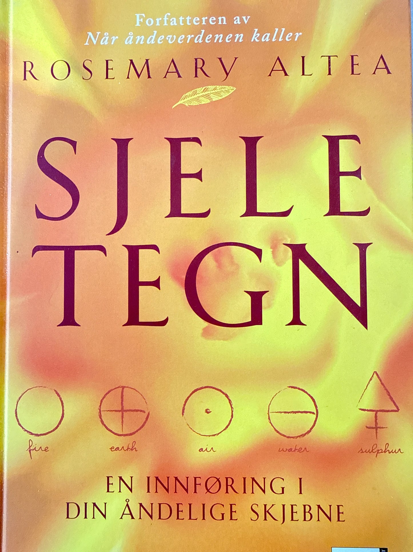 Sjeletegn - Innbundet