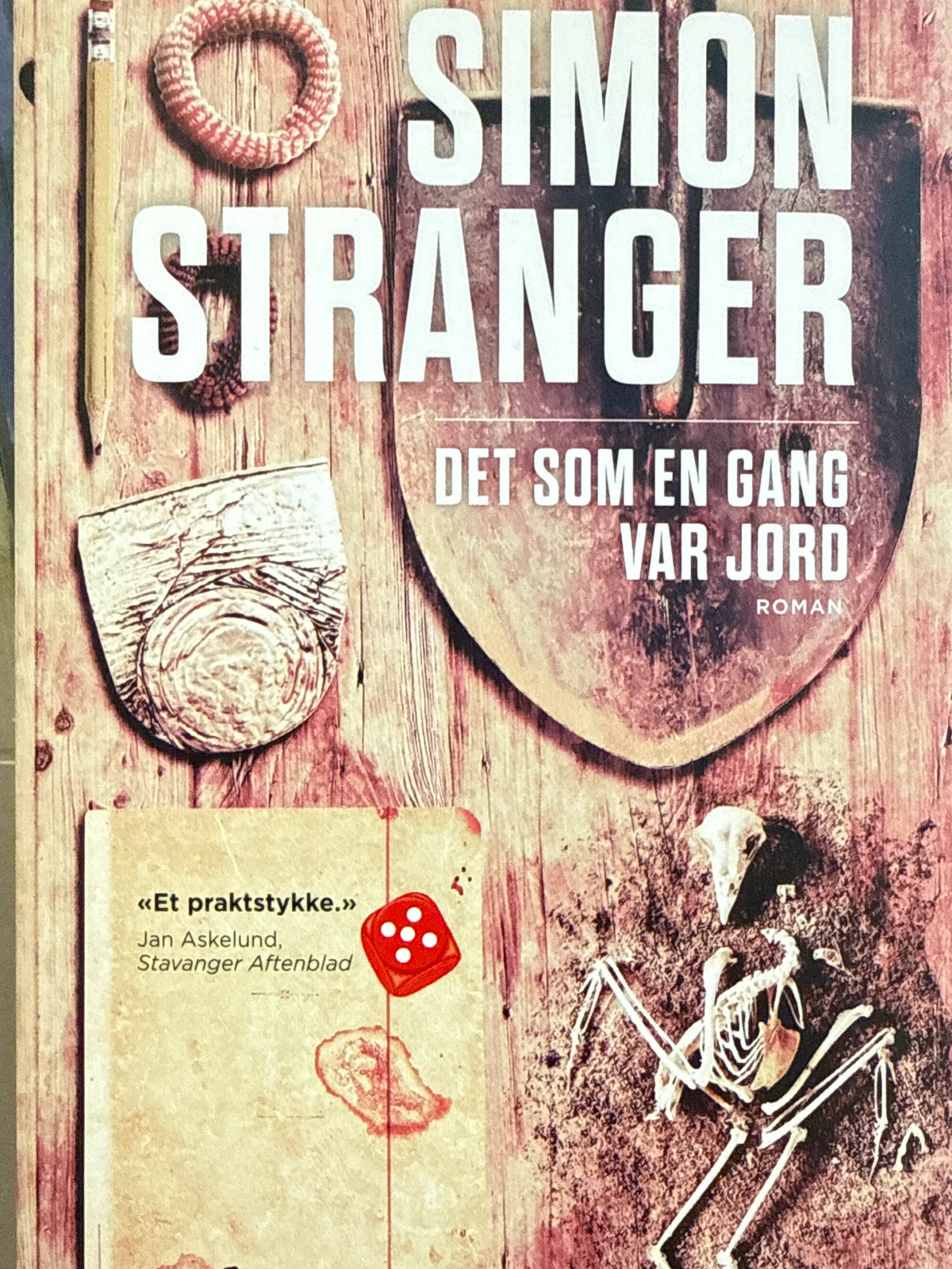 Det som en gang var jord - Pocket