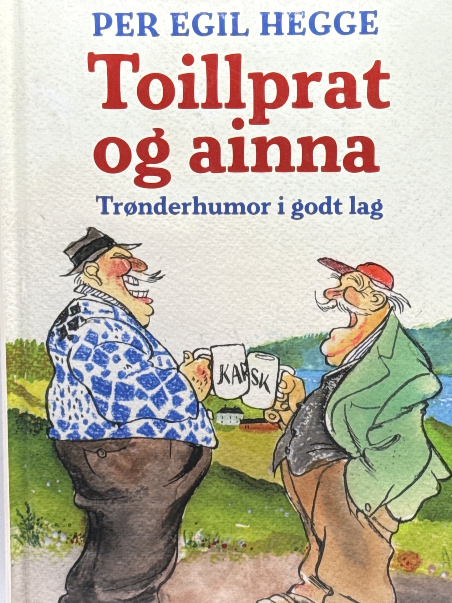 Toillprat og ainna - Innbundet