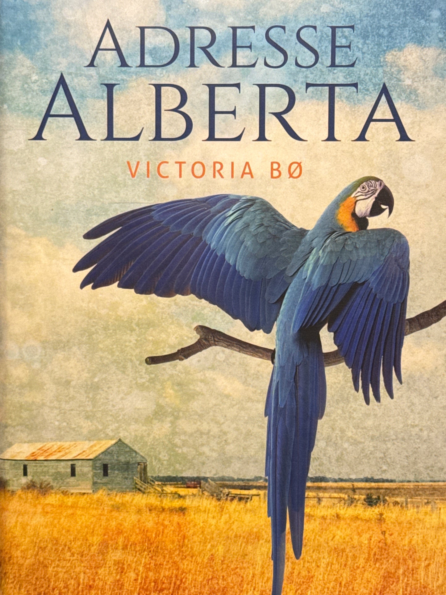 Adresse Alberta - Innbundet