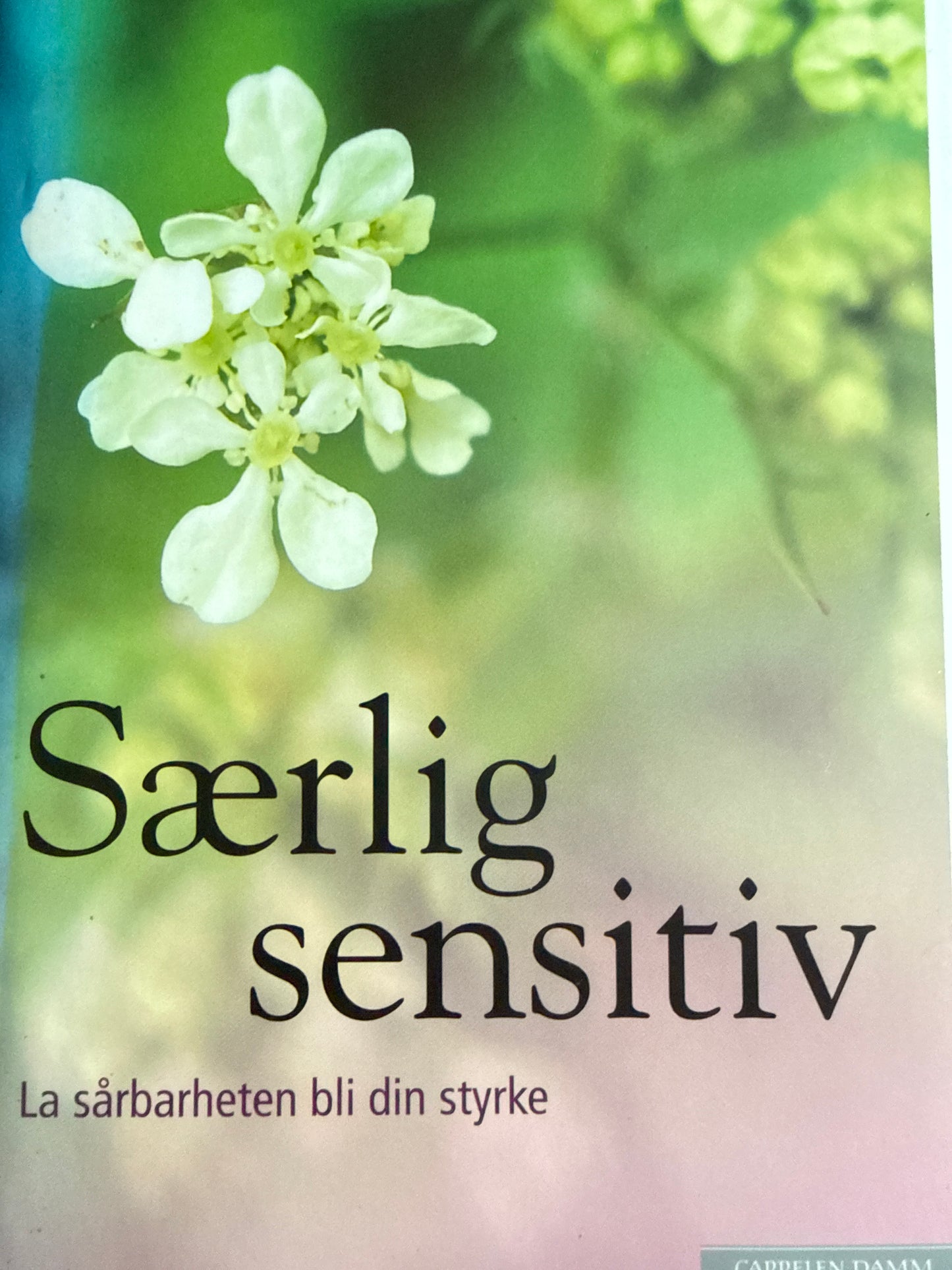 Særlig sensitiv - Innbundet