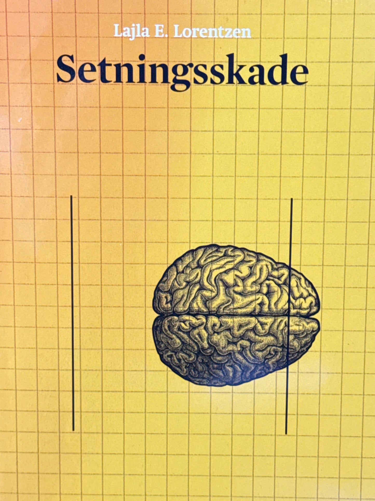 Setningsskade - Innbundet