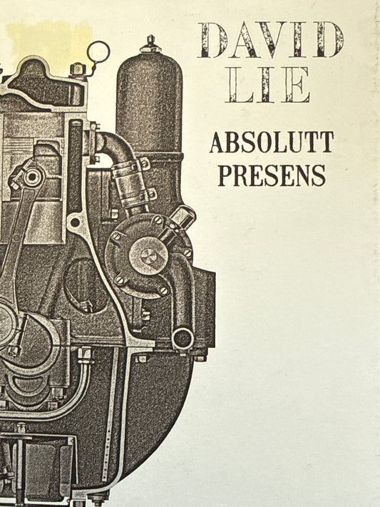 Absolutt presens - Innbundet
