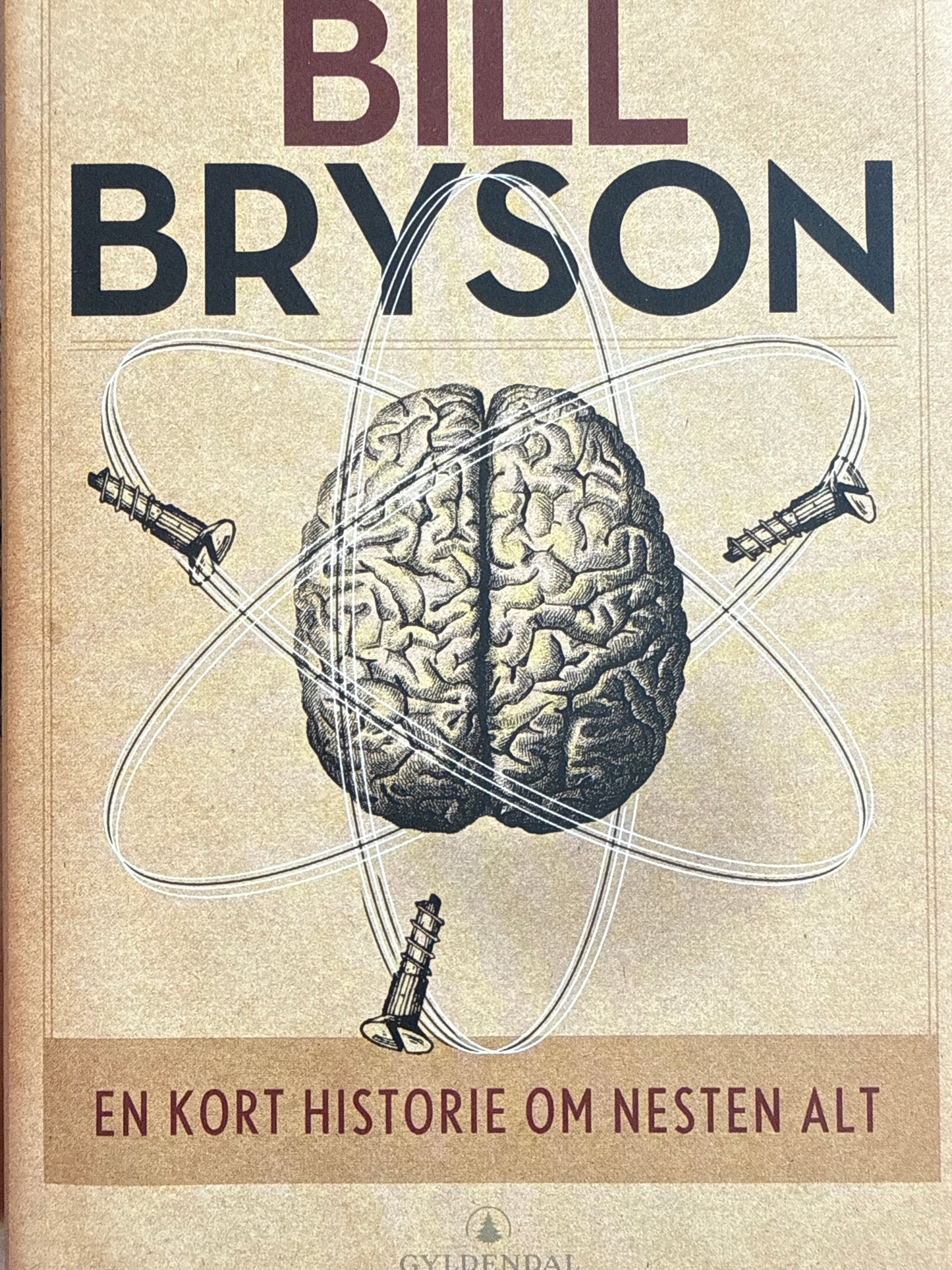 En kort historie om nesten alt - Innbundet