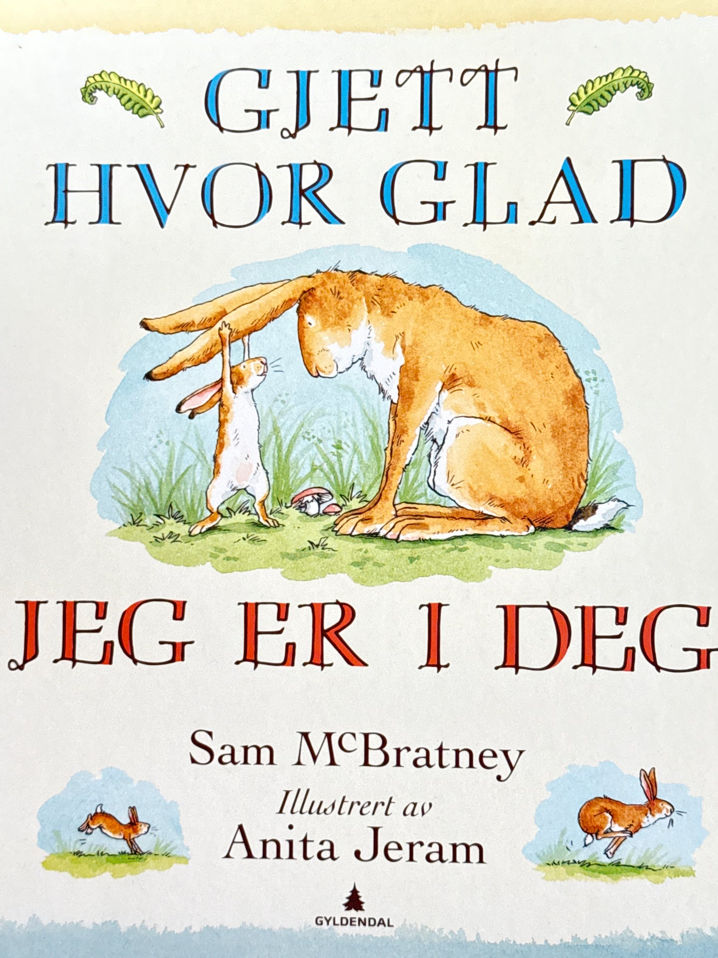Gjett hvor glad jeg er i deg - Innbundet