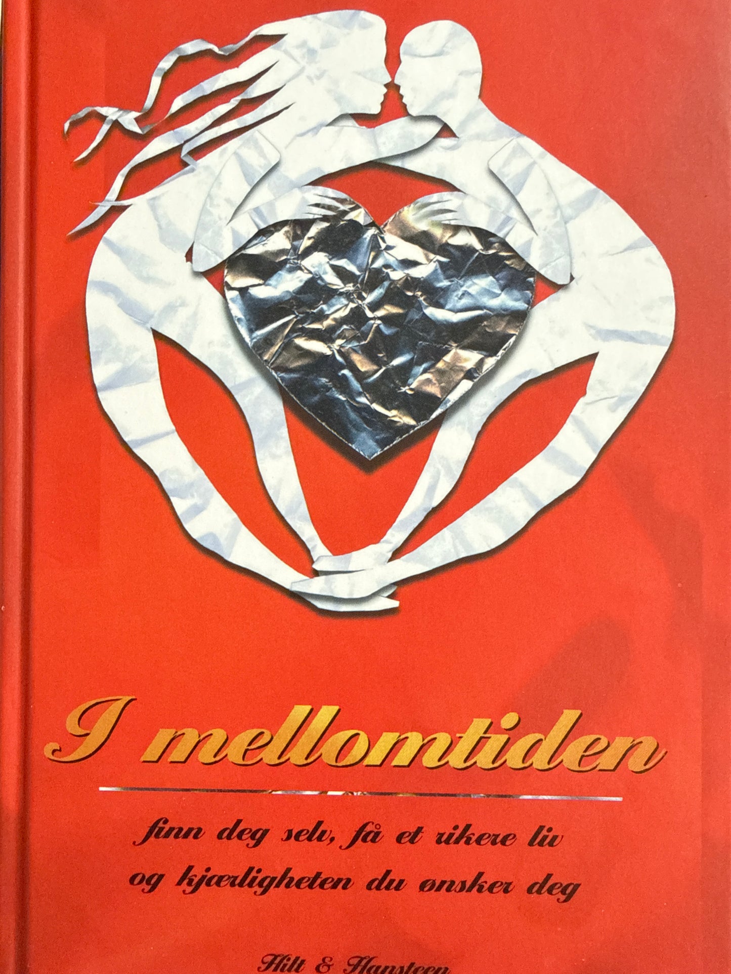 I mellomtiden - Innbundet