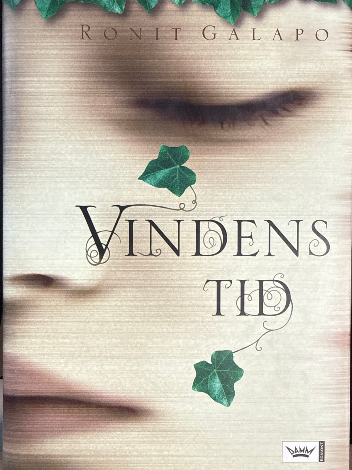 Vindens tid - Innbundet