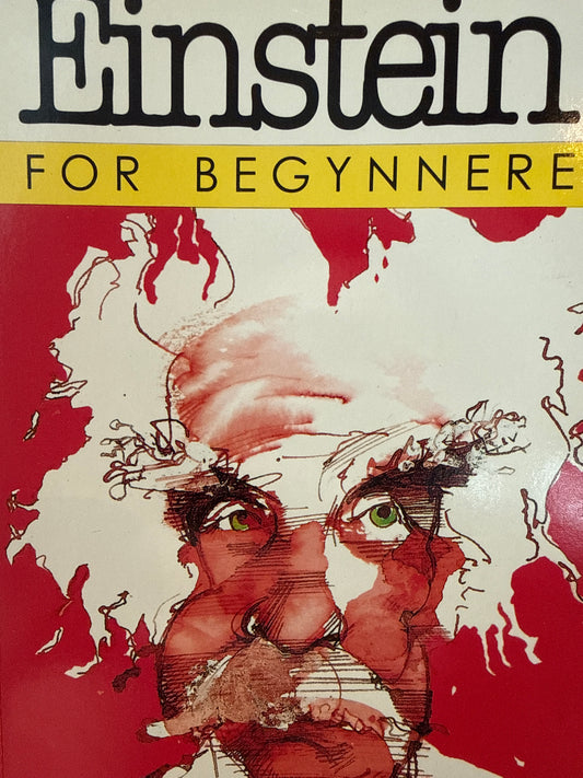 Einstein for begynnere - Pocket